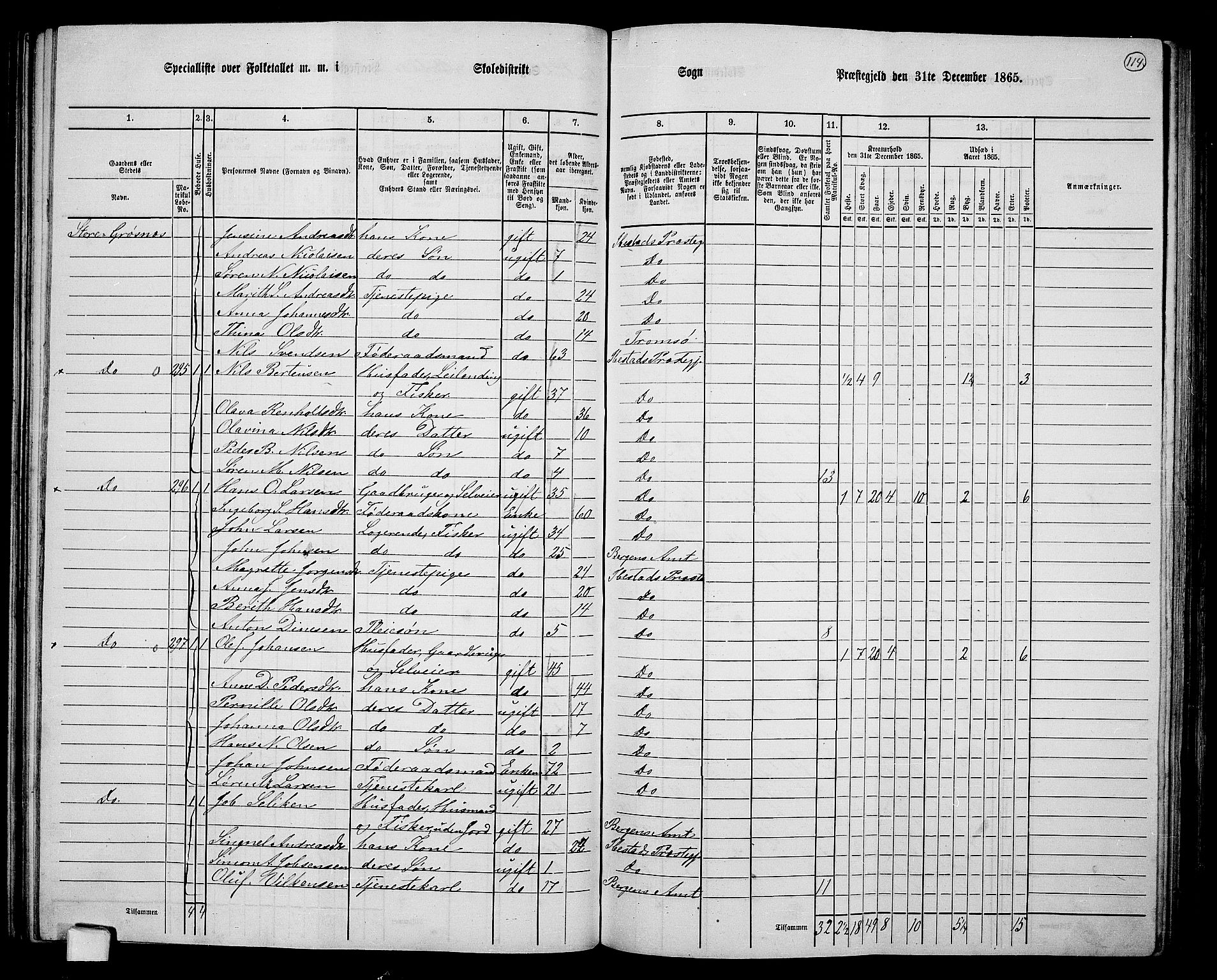 RA, 1865 census for Ibestad, 1865, p. 107