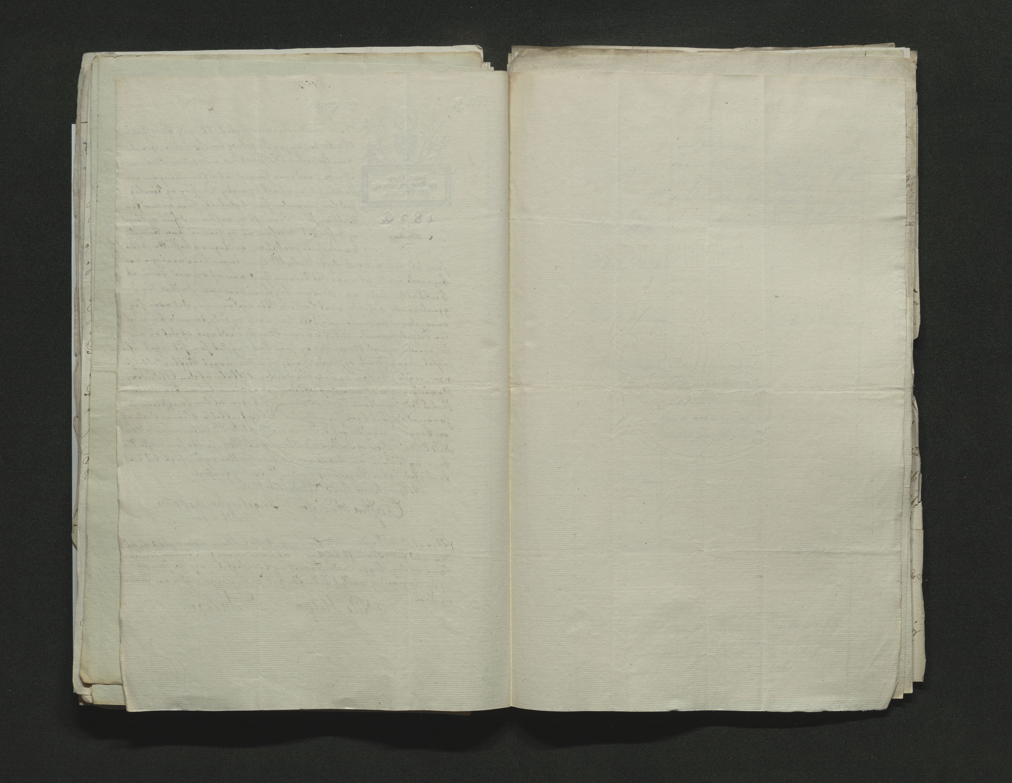 Eiker, Modum og Sigdal sorenskriveri, AV/SAKO-A-123/H/Ha/Hab/L0002: Dødsfallsmeldinger, 1823-1829, p. 206