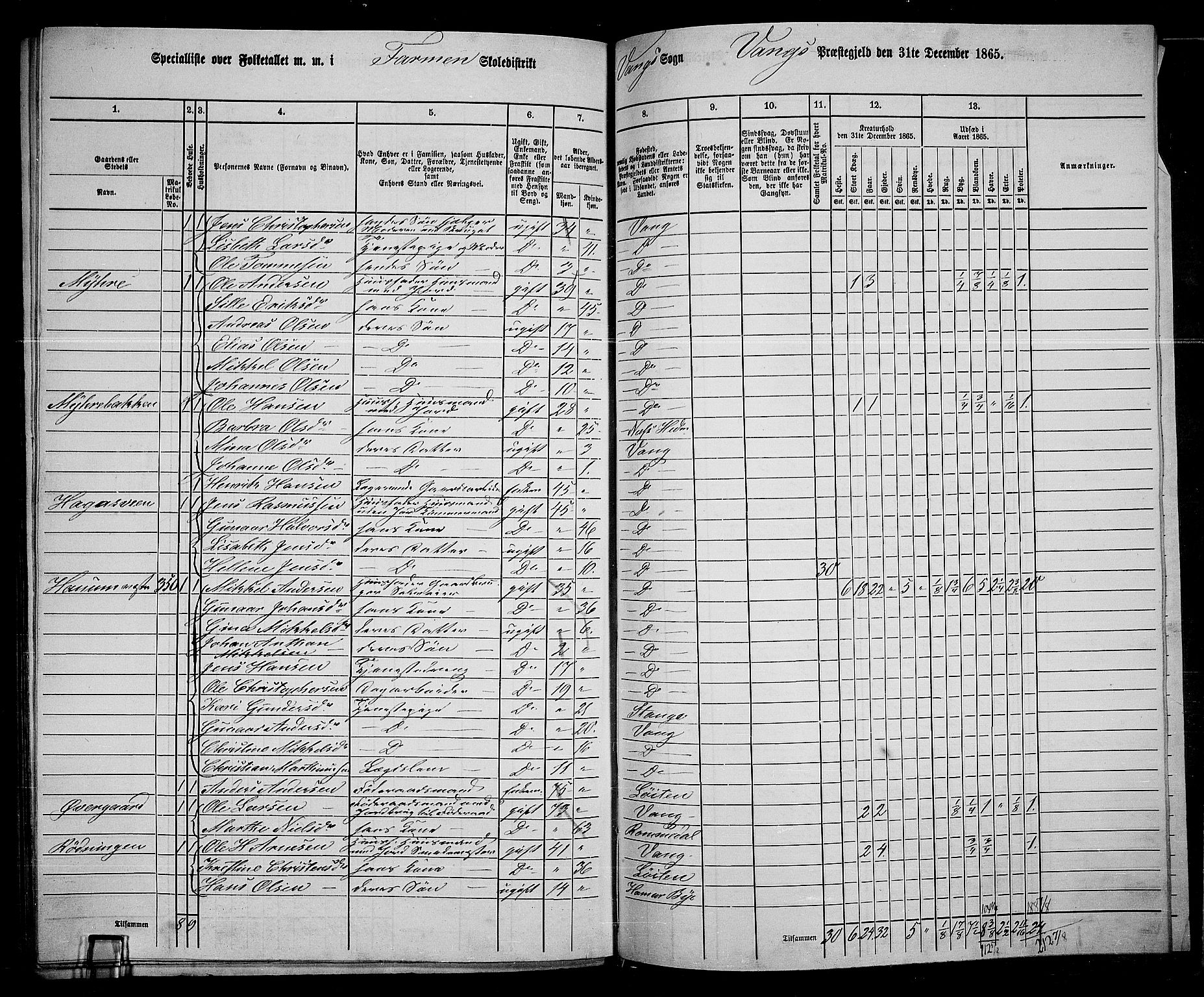 RA, 1865 census for Vang/Vang og Furnes, 1865, p. 313