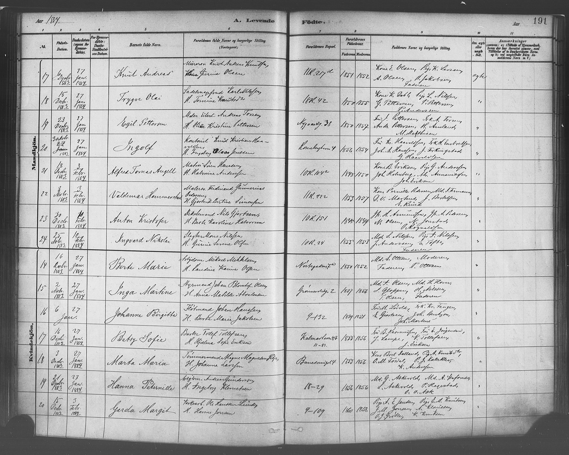 Domkirken sokneprestembete, SAB/A-74801/H/Haa/L0023: Parish register (official) no. B 6, 1879-1887, p. 191