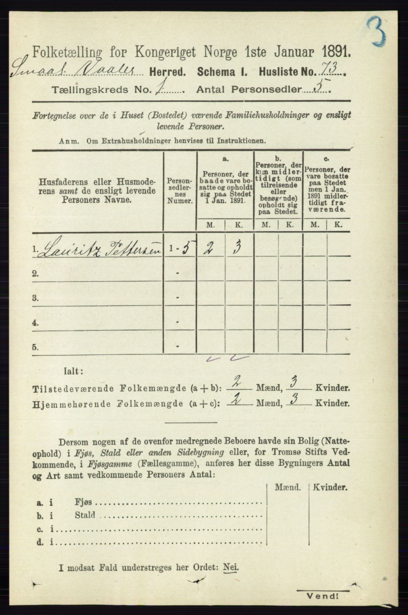 RA, 1891 census for 0137 Våler, 1891, p. 95