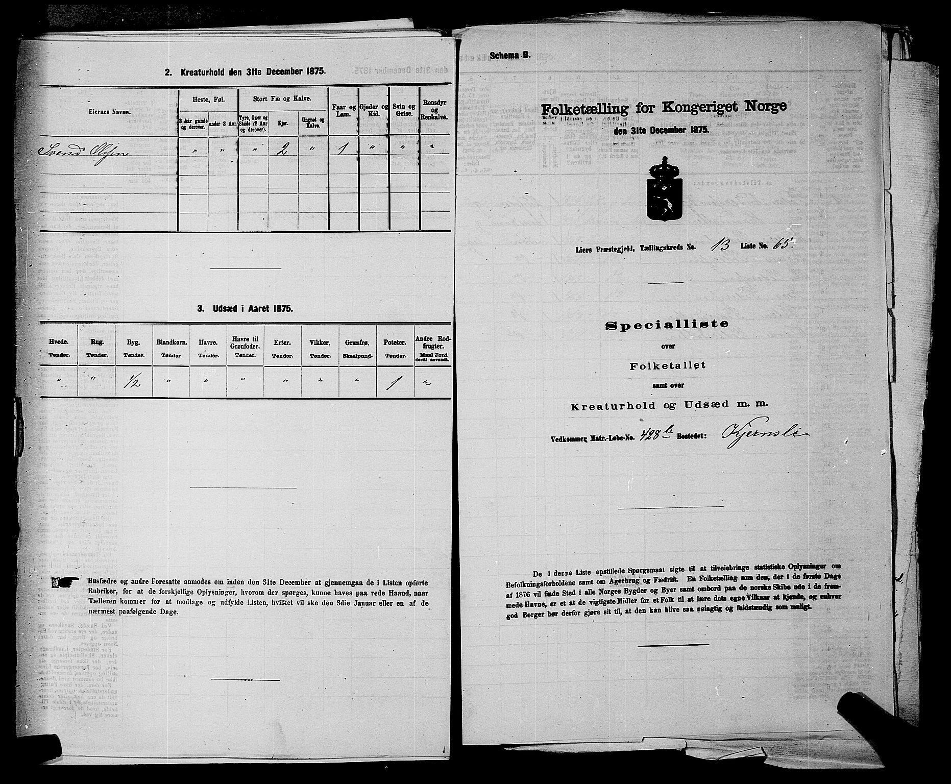 SAKO, 1875 census for 0626P Lier, 1875, p. 2428