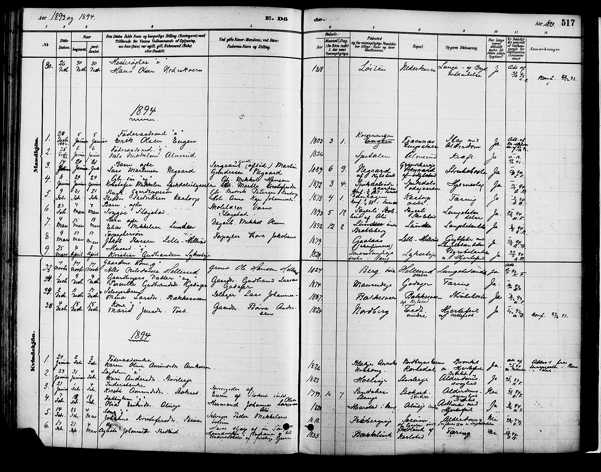 Vang prestekontor, Hedmark, SAH/PREST-008/H/Ha/Haa/L0018B: Parish register (official) no. 18B, 1880-1906, p. 517
