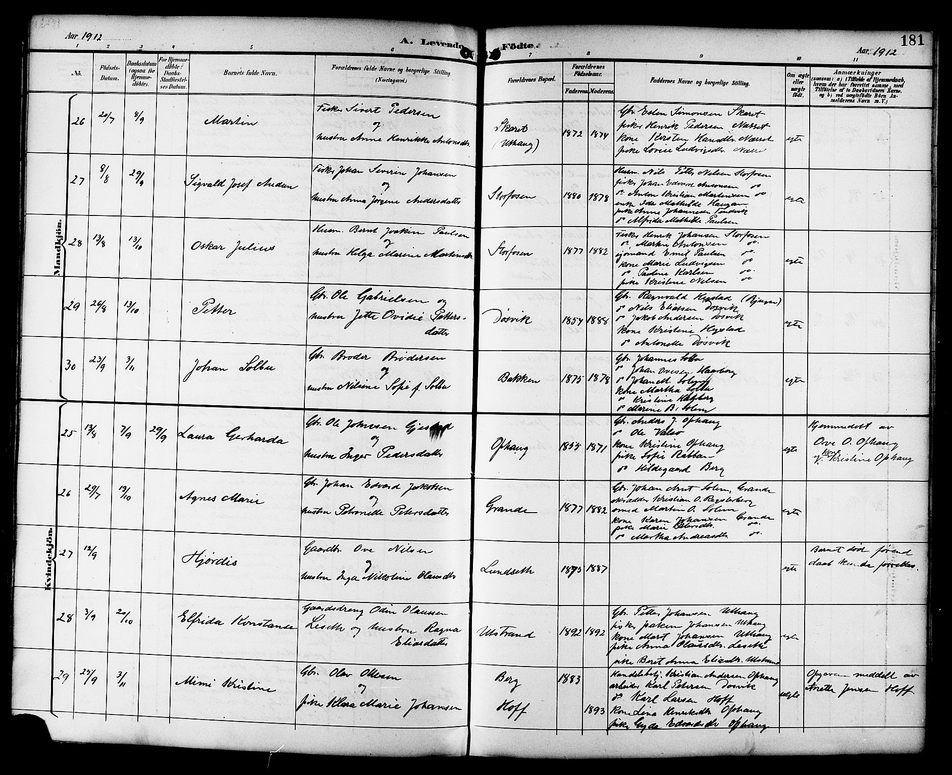 Ministerialprotokoller, klokkerbøker og fødselsregistre - Sør-Trøndelag, SAT/A-1456/659/L0746: Parish register (copy) no. 659C03, 1893-1912, p. 181