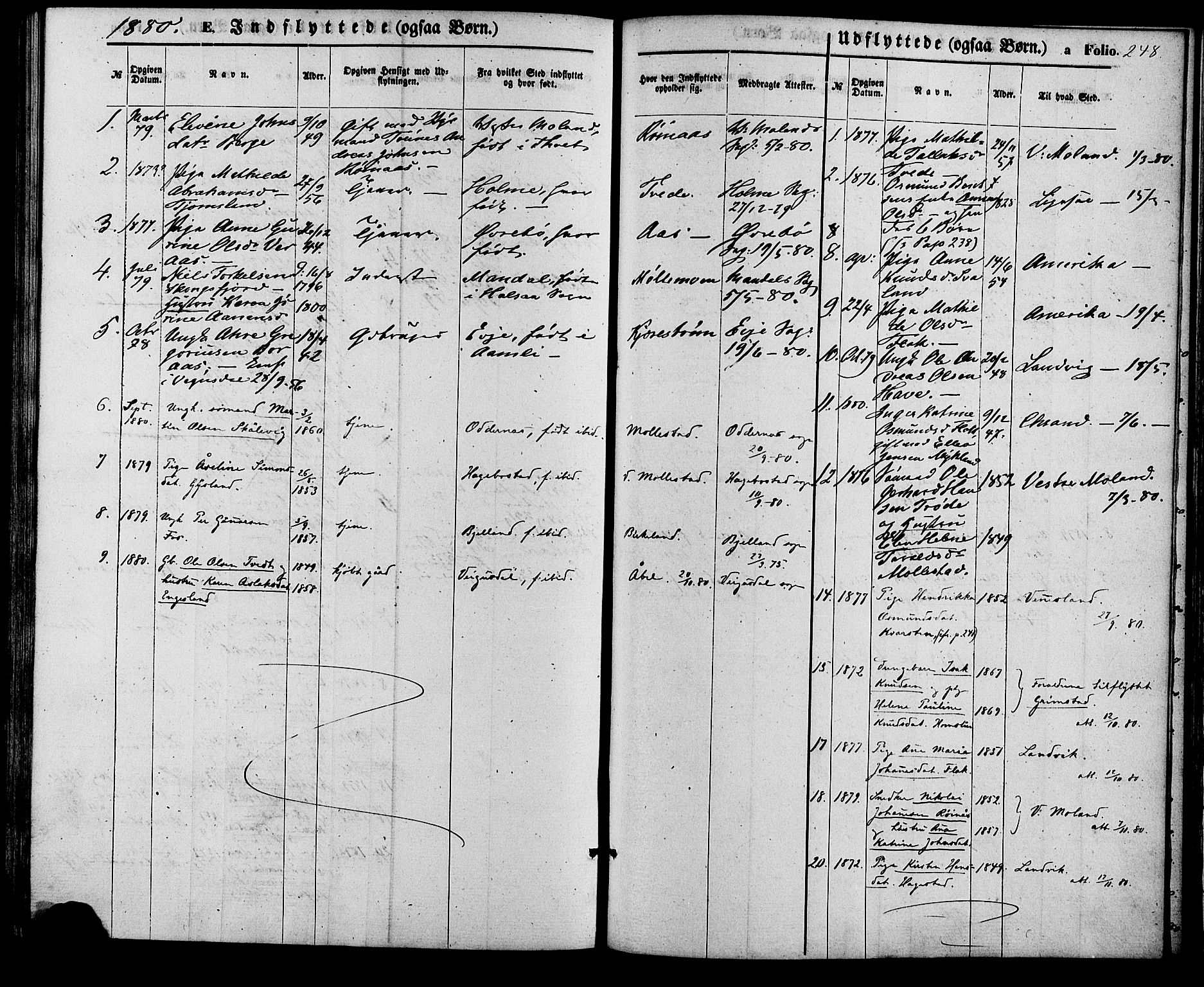 Birkenes sokneprestkontor, SAK/1111-0004/F/Fa/L0004: Parish register (official) no. A 4, 1867-1886, p. 248