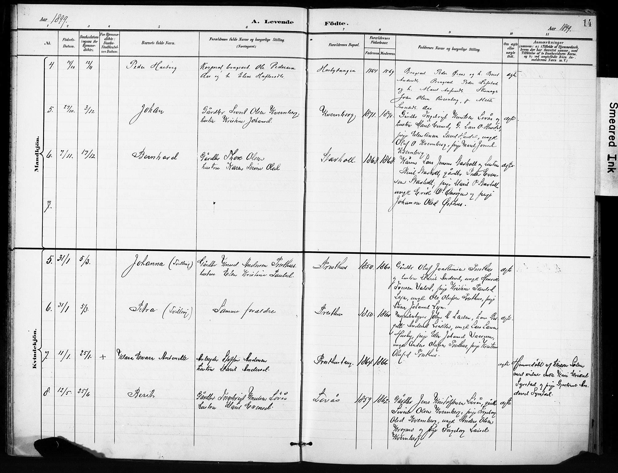 Ministerialprotokoller, klokkerbøker og fødselsregistre - Sør-Trøndelag, SAT/A-1456/666/L0787: Parish register (official) no. 666A05, 1895-1908, p. 14