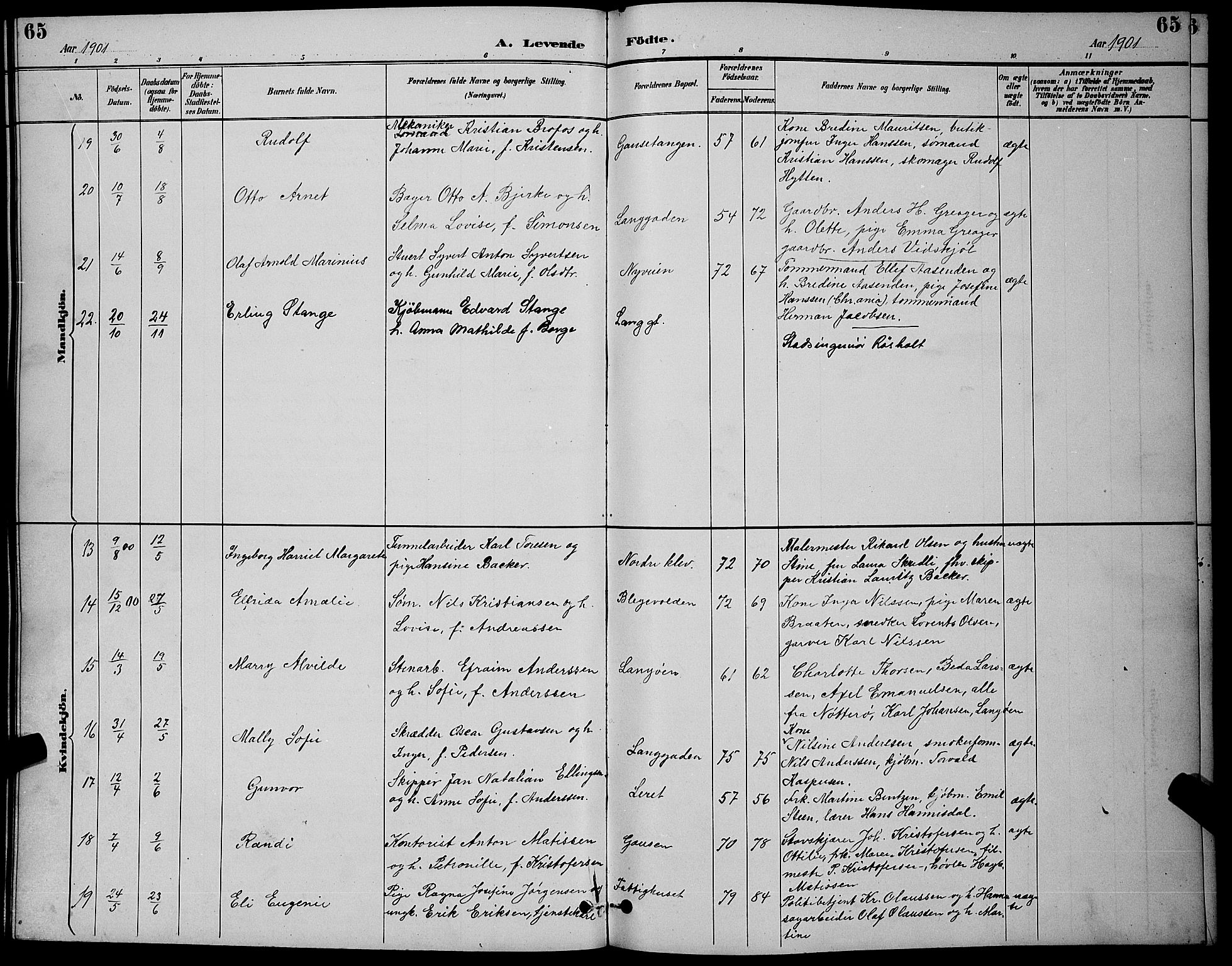 Holmestrand kirkebøker, AV/SAKO-A-346/G/Ga/L0005: Parish register (copy) no. 5, 1889-1901, p. 65