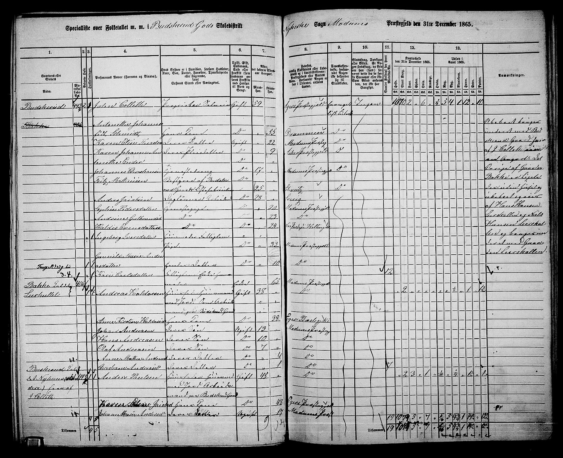 RA, 1865 census for Modum, 1865, p. 243