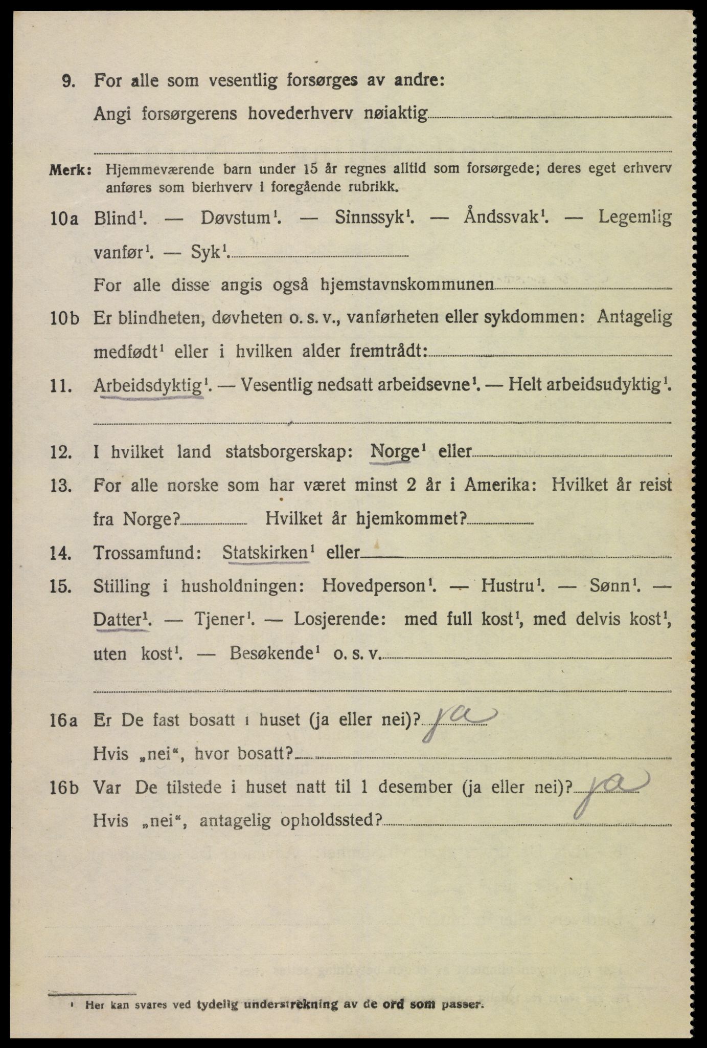 SAK, 1920 census for Hornnes, 1920, p. 3056