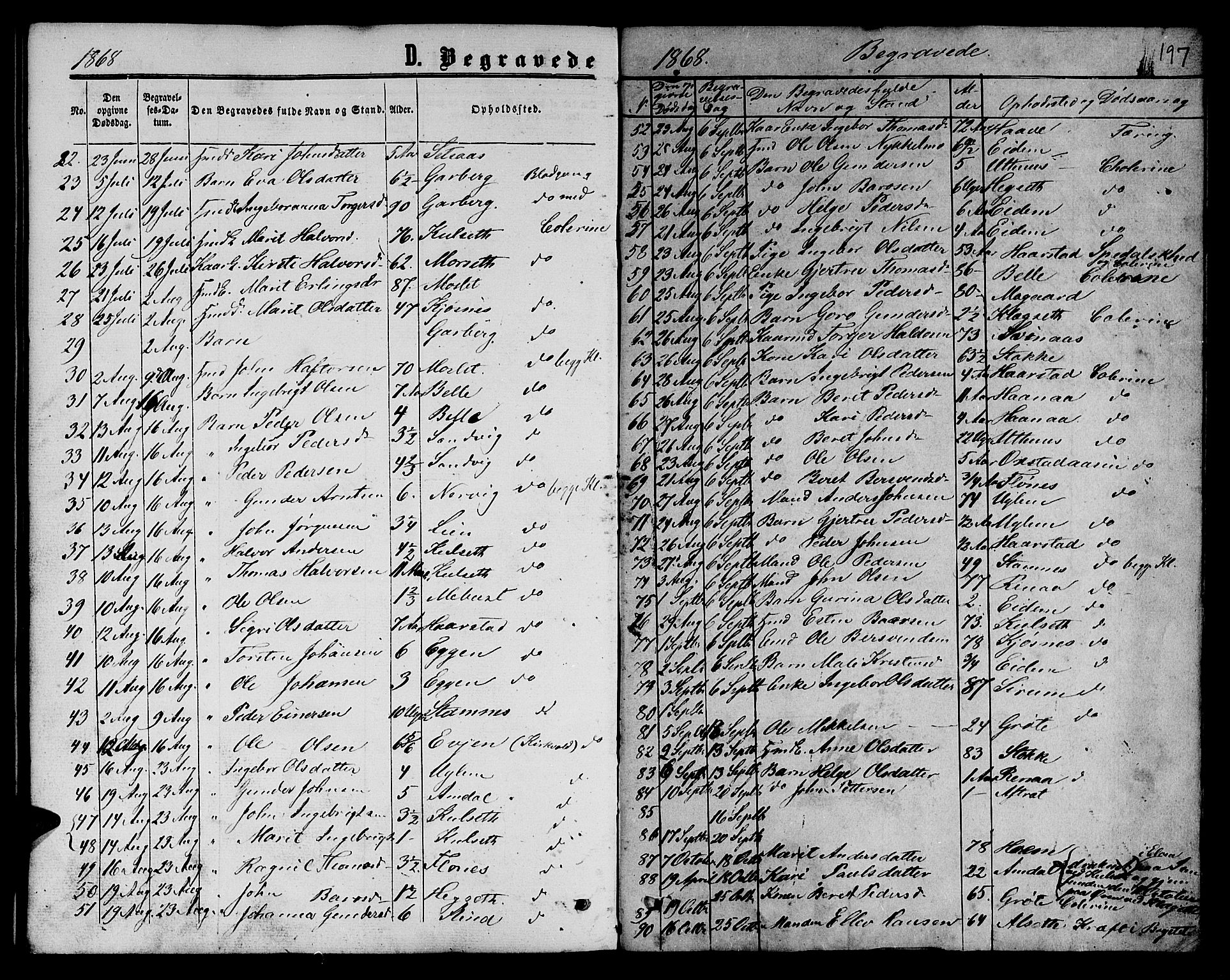 Ministerialprotokoller, klokkerbøker og fødselsregistre - Sør-Trøndelag, SAT/A-1456/695/L1155: Parish register (copy) no. 695C06, 1859-1868, p. 197