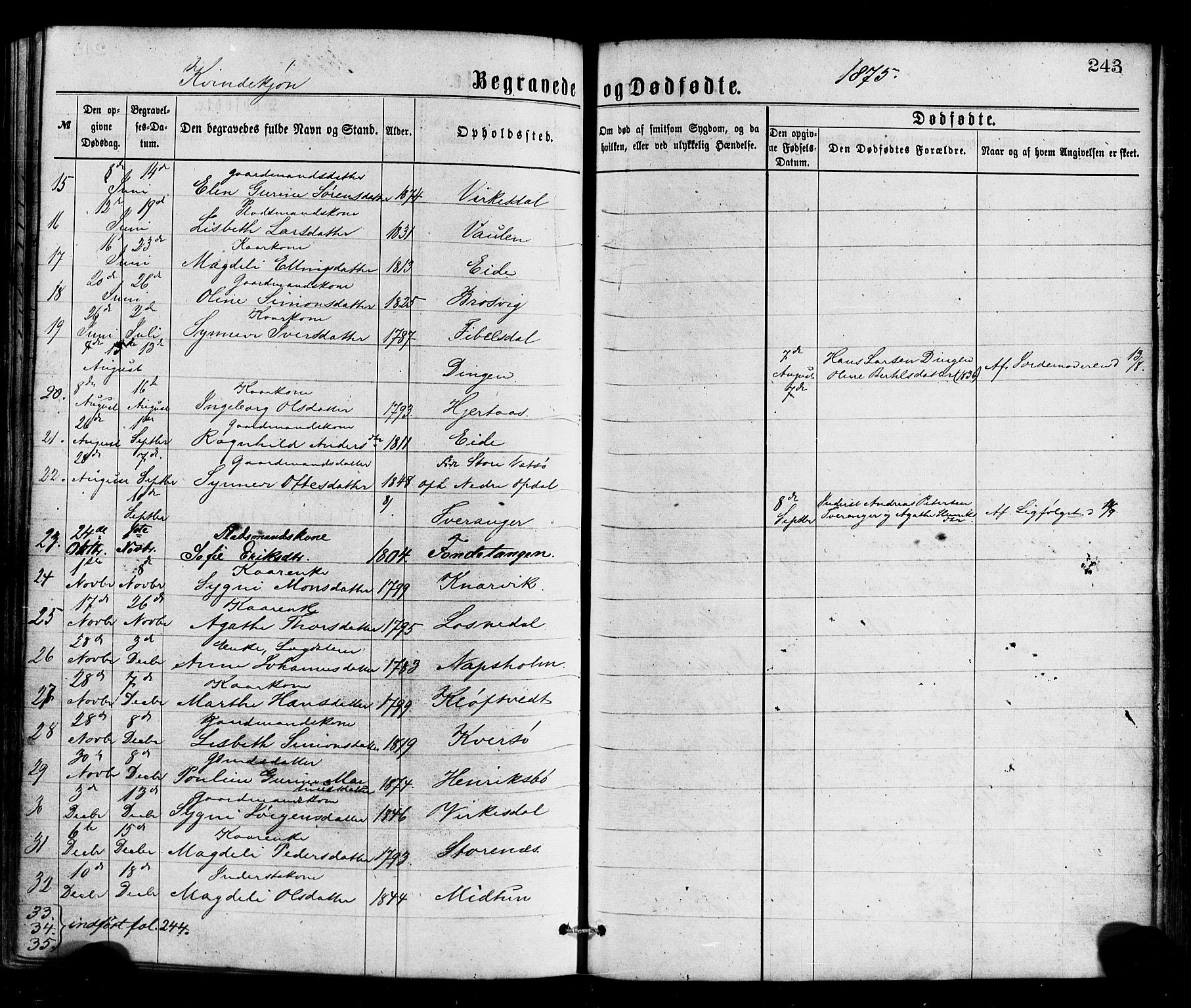 Gulen sokneprestembete, SAB/A-80201/H/Haa/Haaa/L0023: Parish register (official) no. A 23, 1870-1880, p. 243