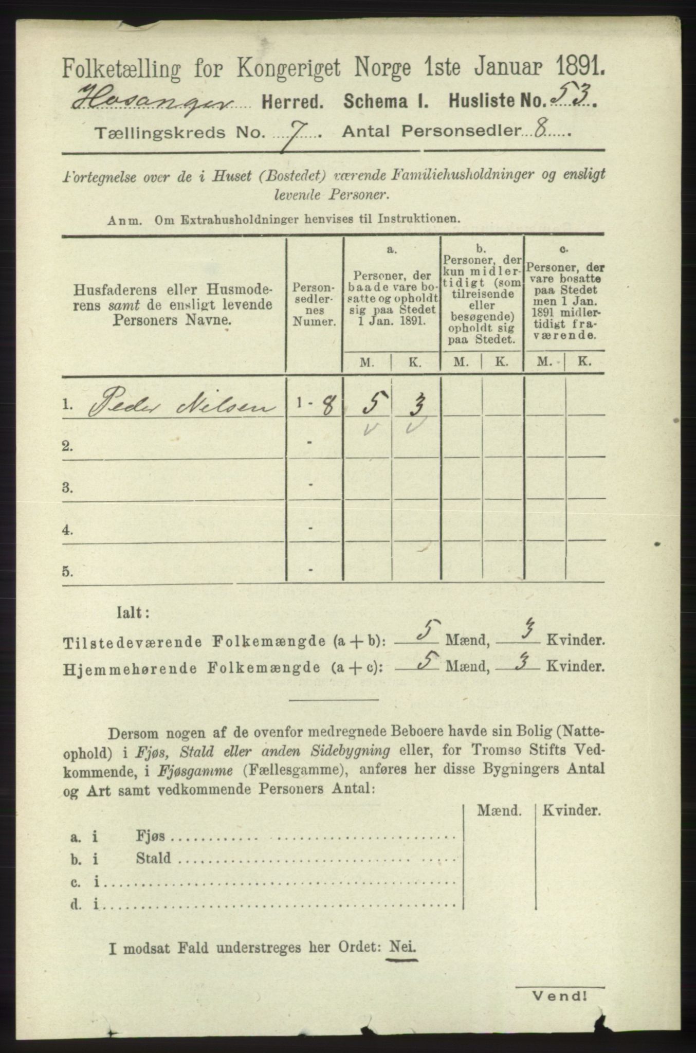 RA, 1891 census for 1253 Hosanger, 1891, p. 2486