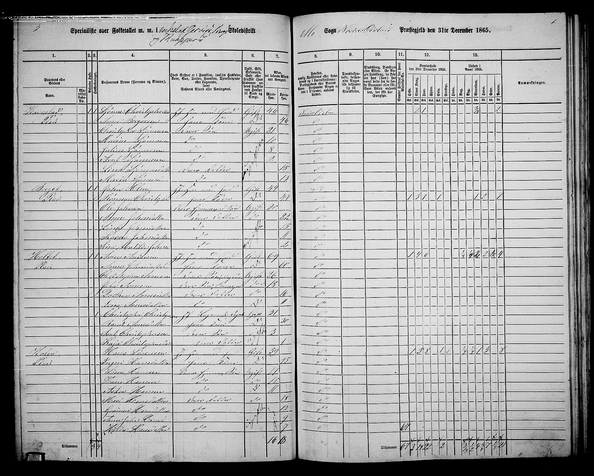 RA, 1865 census for Nord-Odal, 1865, p. 123