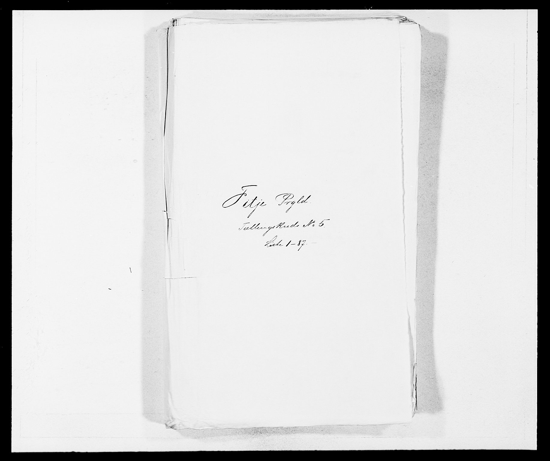 SAB, 1875 census for 1222P Fitjar, 1875, p. 578