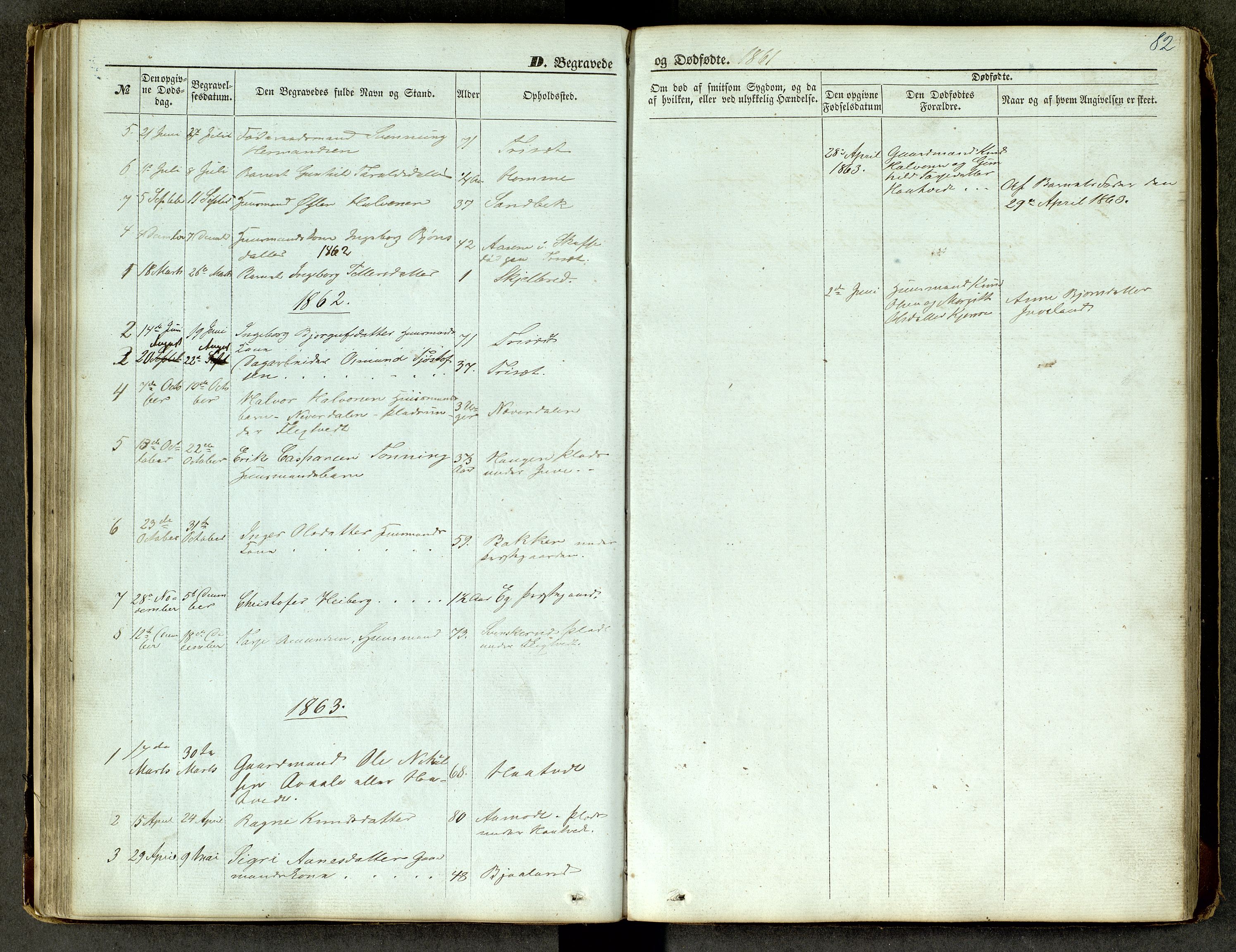 Lårdal kirkebøker, SAKO/A-284/G/Ga/L0002: Parish register (copy) no. I 2, 1861-1890, p. 82