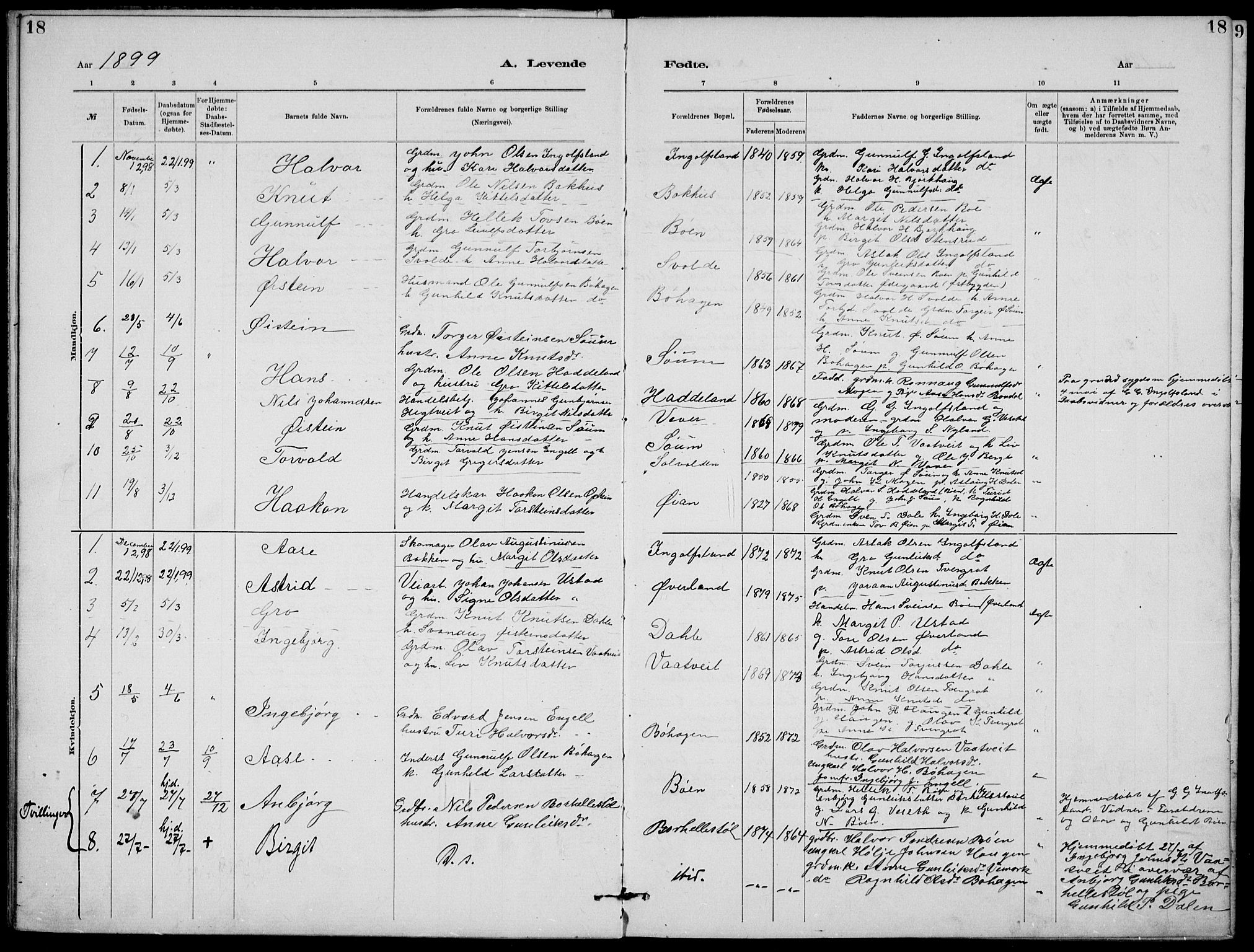 Rjukan kirkebøker, SAKO/A-294/G/Ga/L0001: Parish register (copy) no. 1, 1880-1914, p. 18