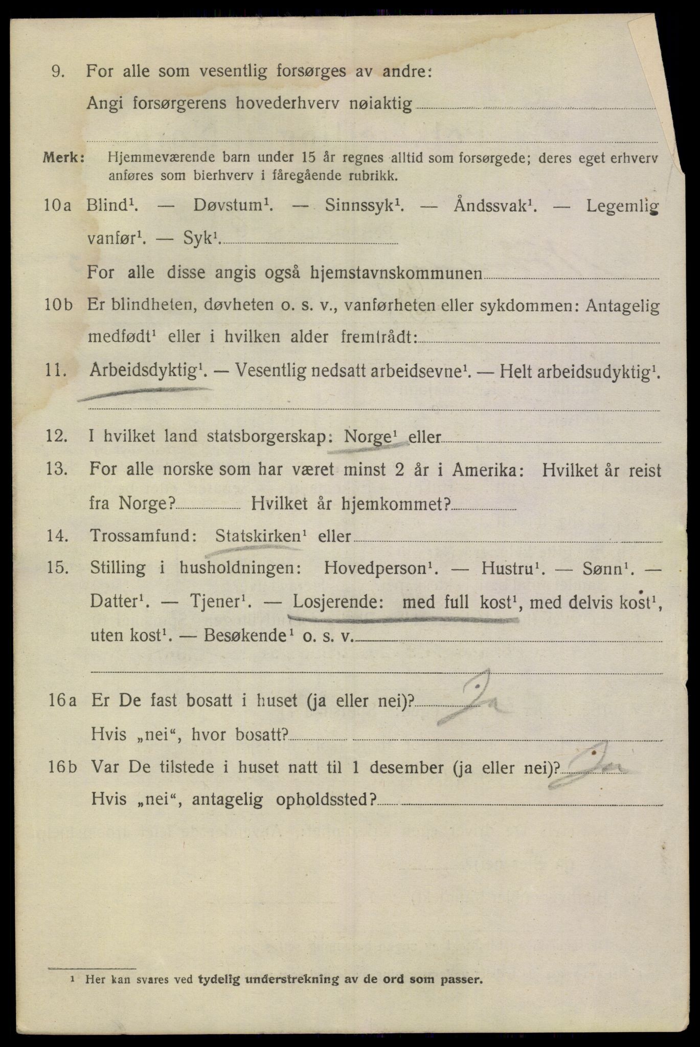 SAKO, 1920 census for Notodden, 1920, p. 13131