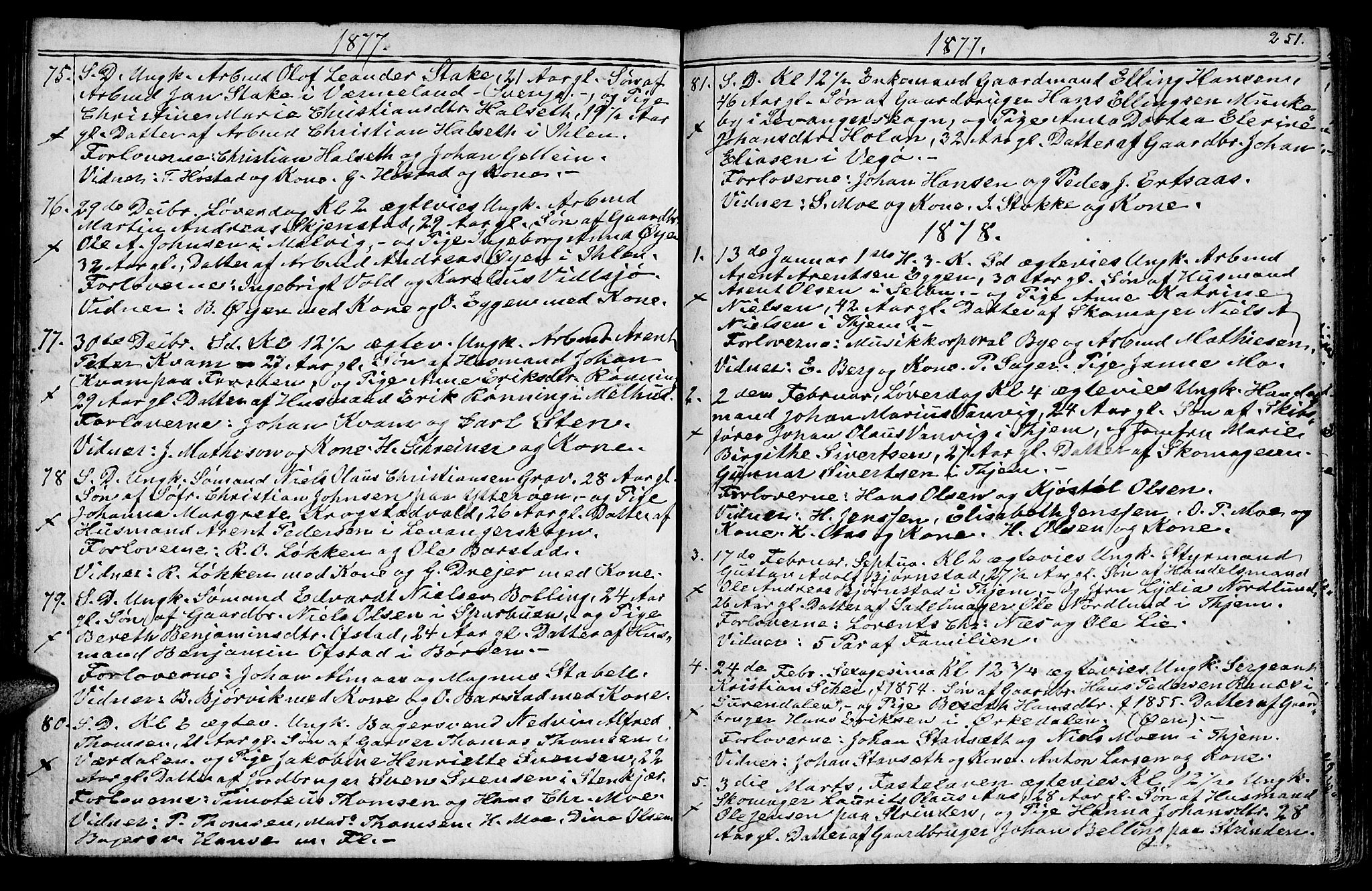Ministerialprotokoller, klokkerbøker og fødselsregistre - Sør-Trøndelag, SAT/A-1456/602/L0142: Parish register (copy) no. 602C10, 1872-1894, p. 251