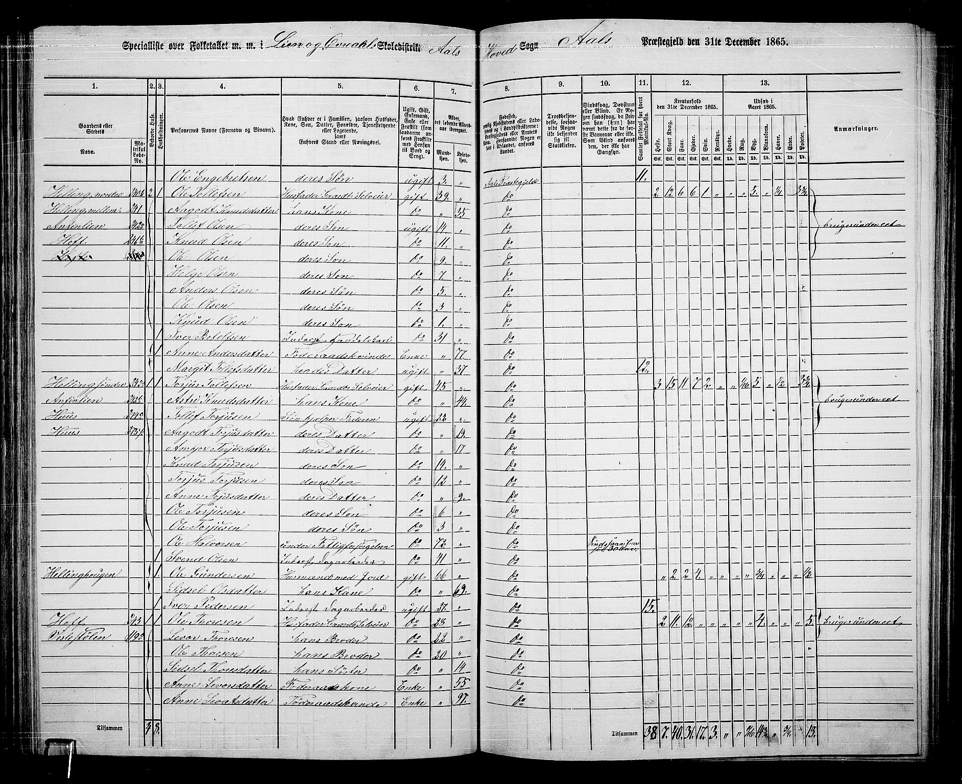 RA, 1865 census for Ål, 1865, p. 133