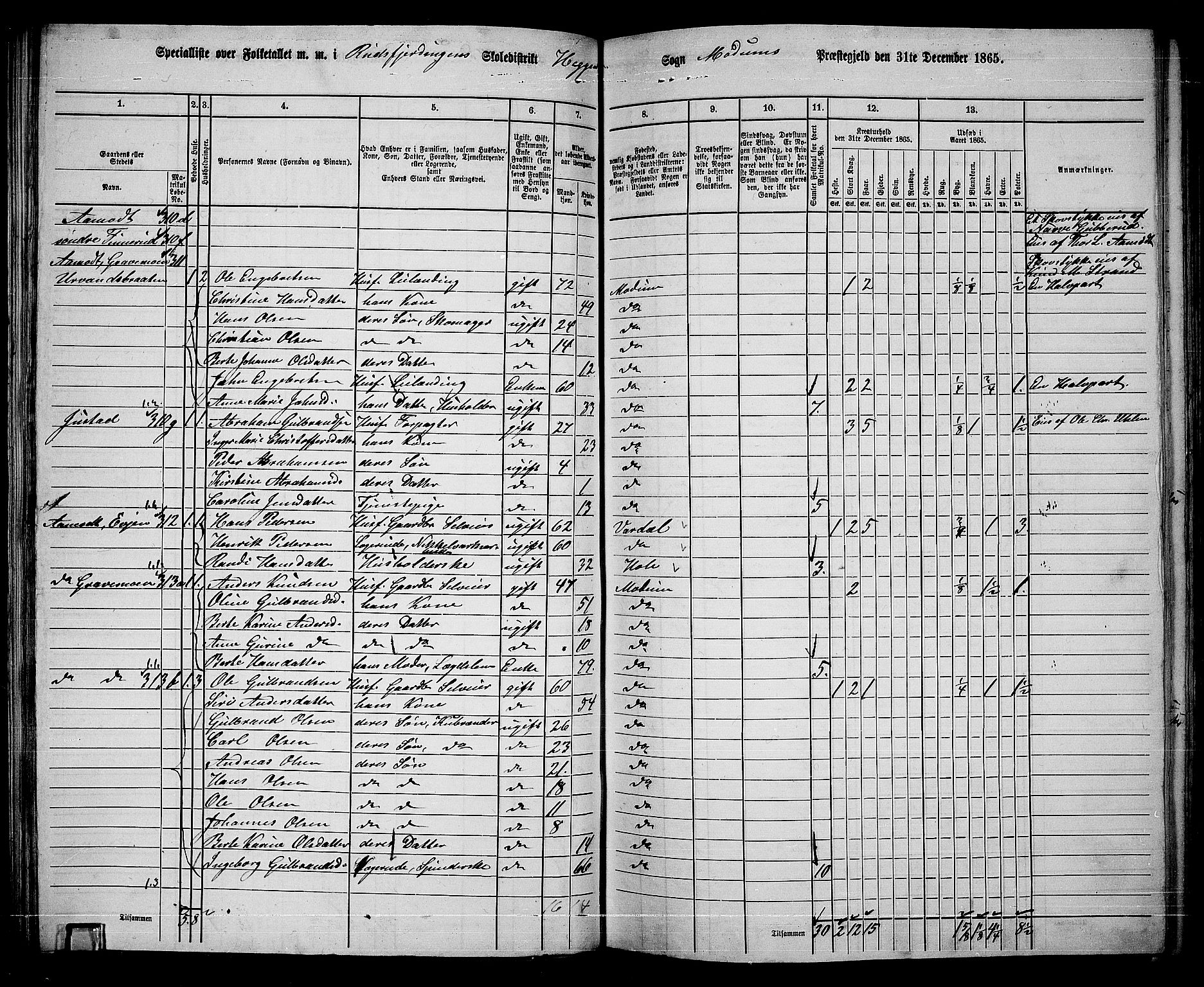 RA, 1865 census for Modum, 1865, p. 114