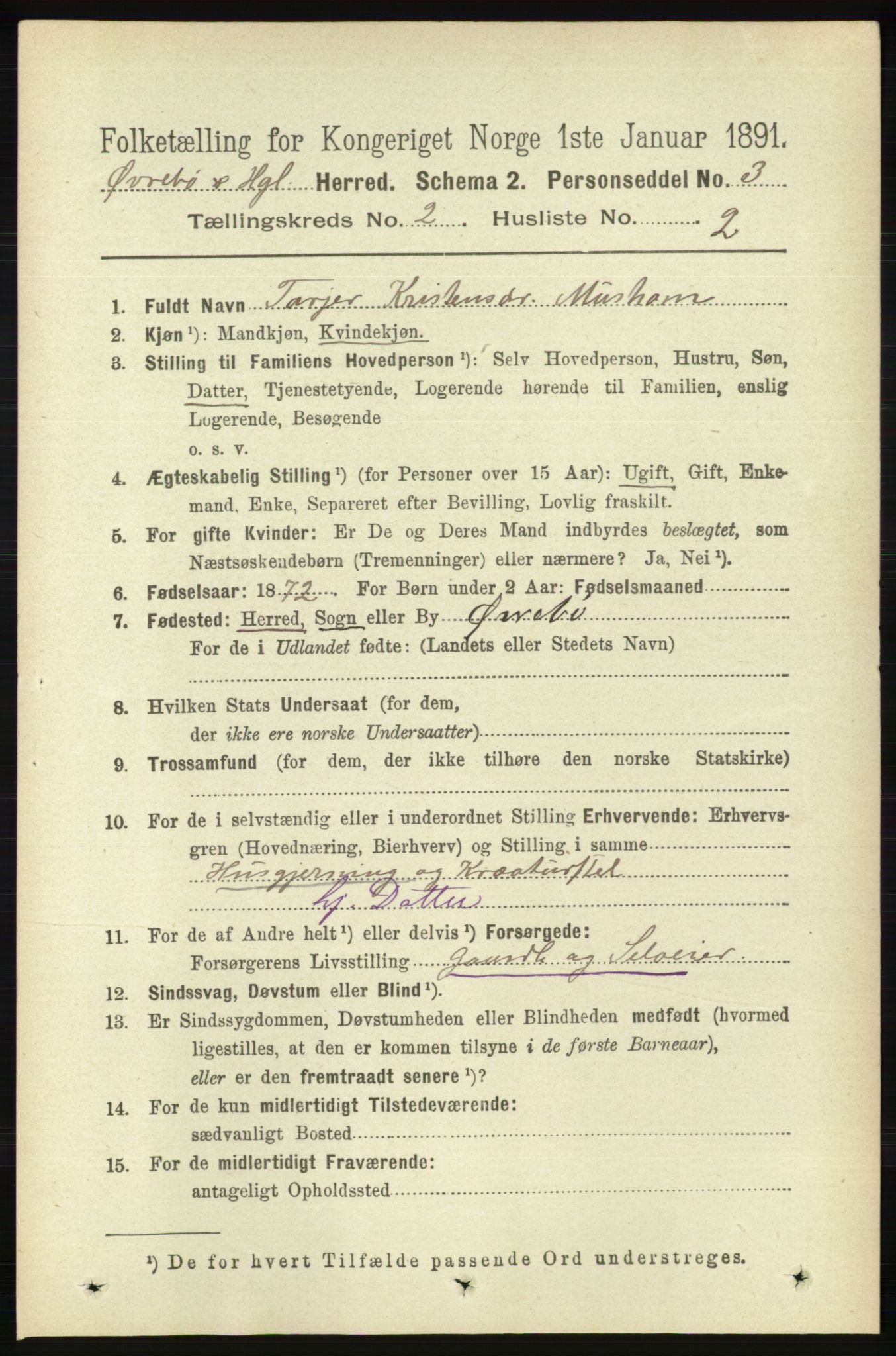 RA, 1891 census for 1016 Øvrebø og Hægeland, 1891, p. 324