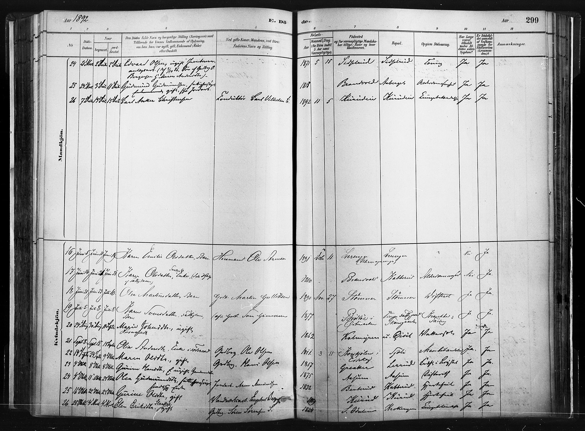 Vinger prestekontor, AV/SAH-PREST-024/H/Ha/Haa/L0014: Parish register (official) no. 14, 1881-1900, p. 299