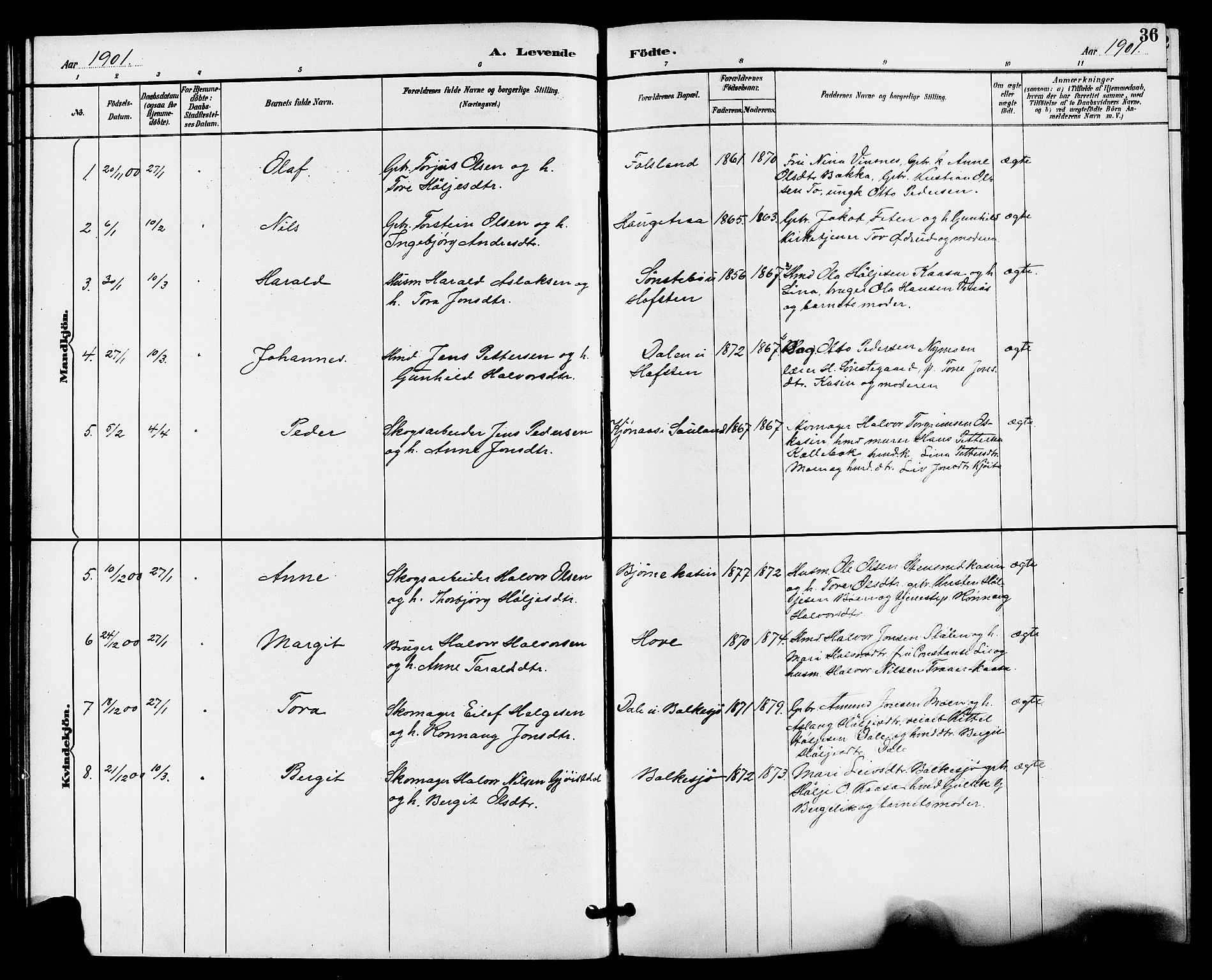 Gransherad kirkebøker, SAKO/A-267/G/Ga/L0003: Parish register (copy) no. I 3, 1887-1915, p. 36