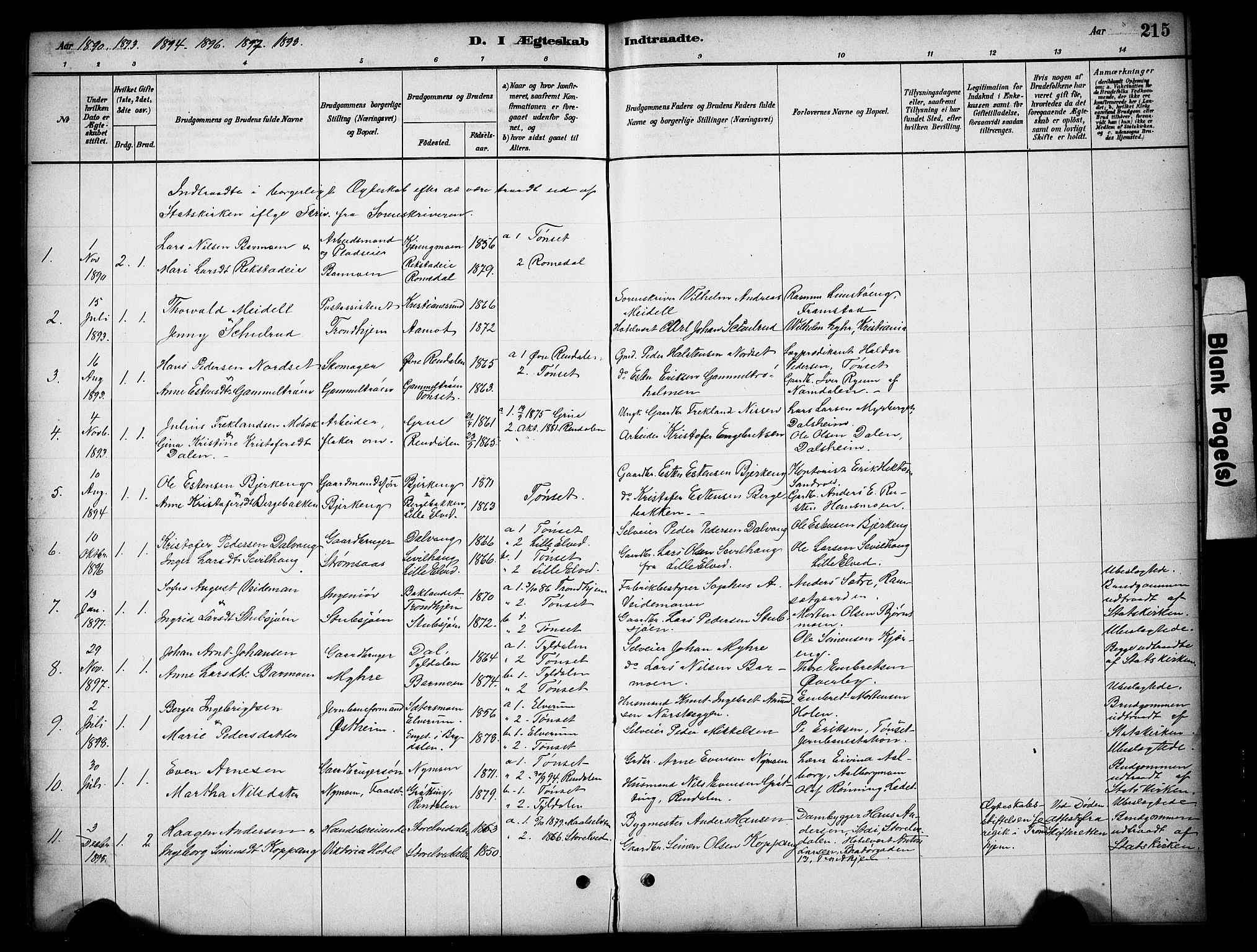 Tynset prestekontor, SAH/PREST-058/H/Ha/Hab/L0006: Parish register (copy) no. 6, 1880-1899, p. 215