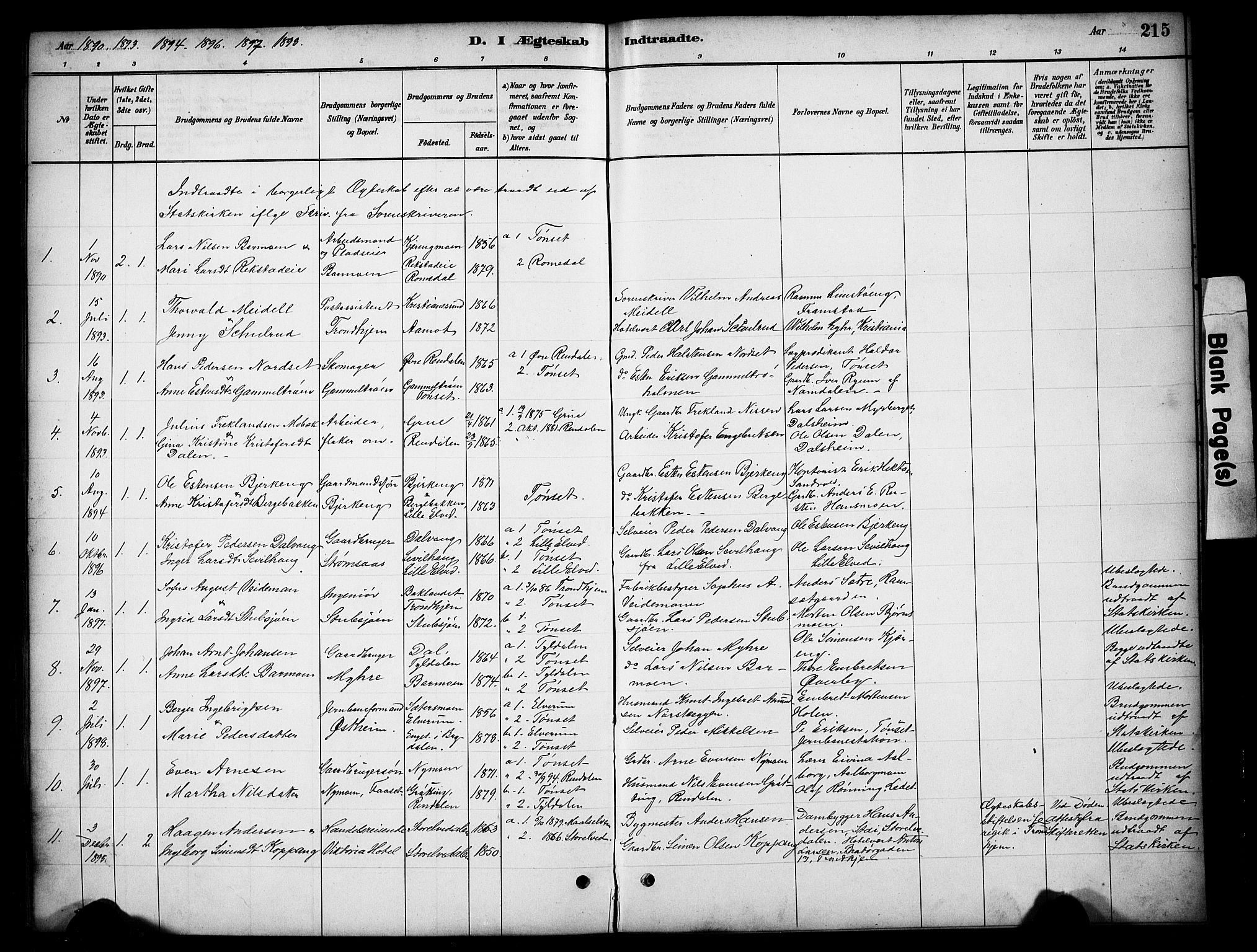 Tynset prestekontor, AV/SAH-PREST-058/H/Ha/Hab/L0006: Parish register (copy) no. 6, 1880-1899, p. 215