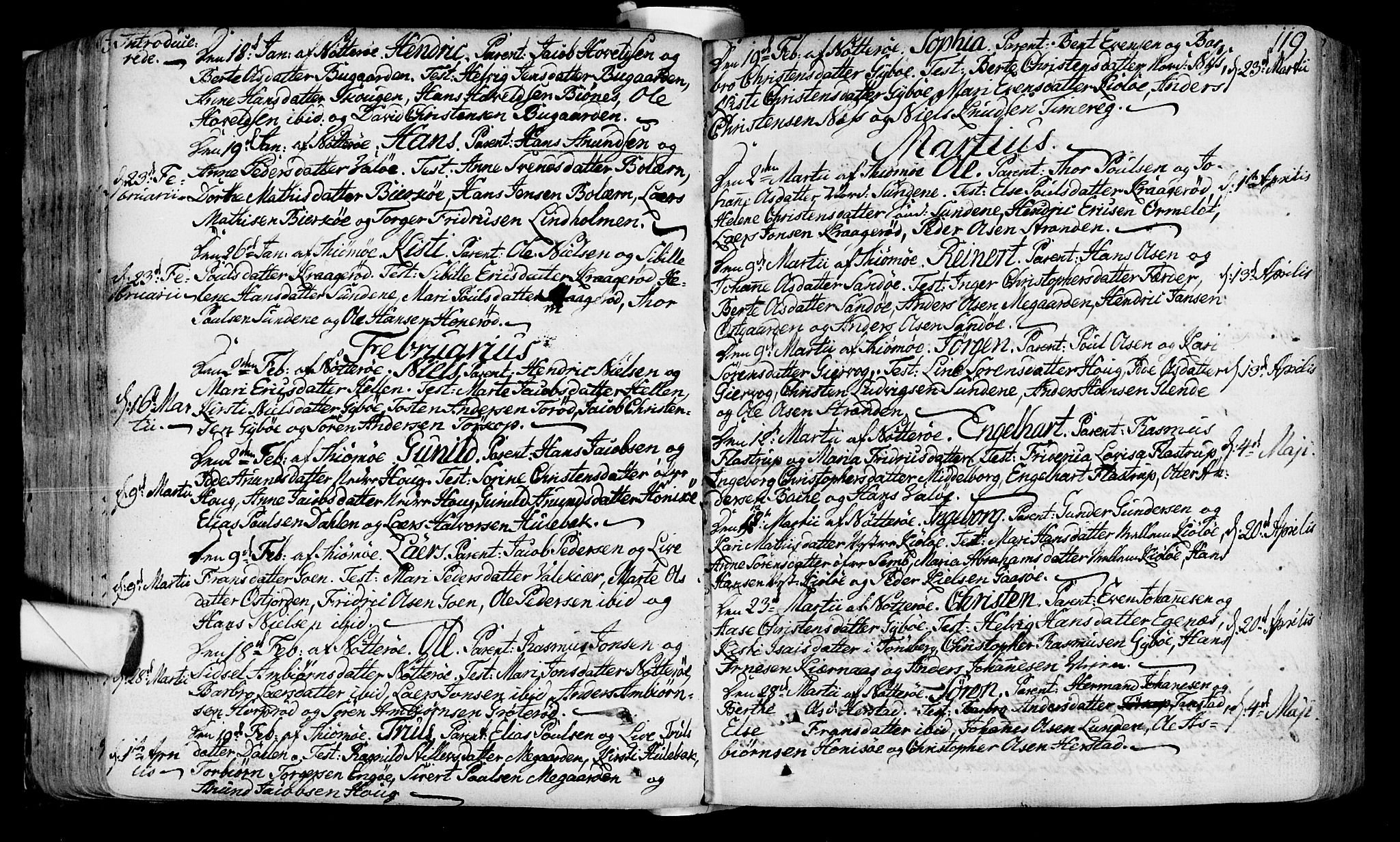 Nøtterøy kirkebøker, SAKO/A-354/F/Fa/L0002: Parish register (official) no. I 2, 1738-1790, p. 119