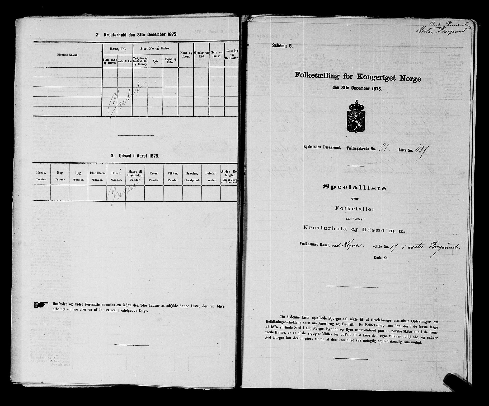 SAKO, 1875 census for 0805P Porsgrunn, 1875, p. 981