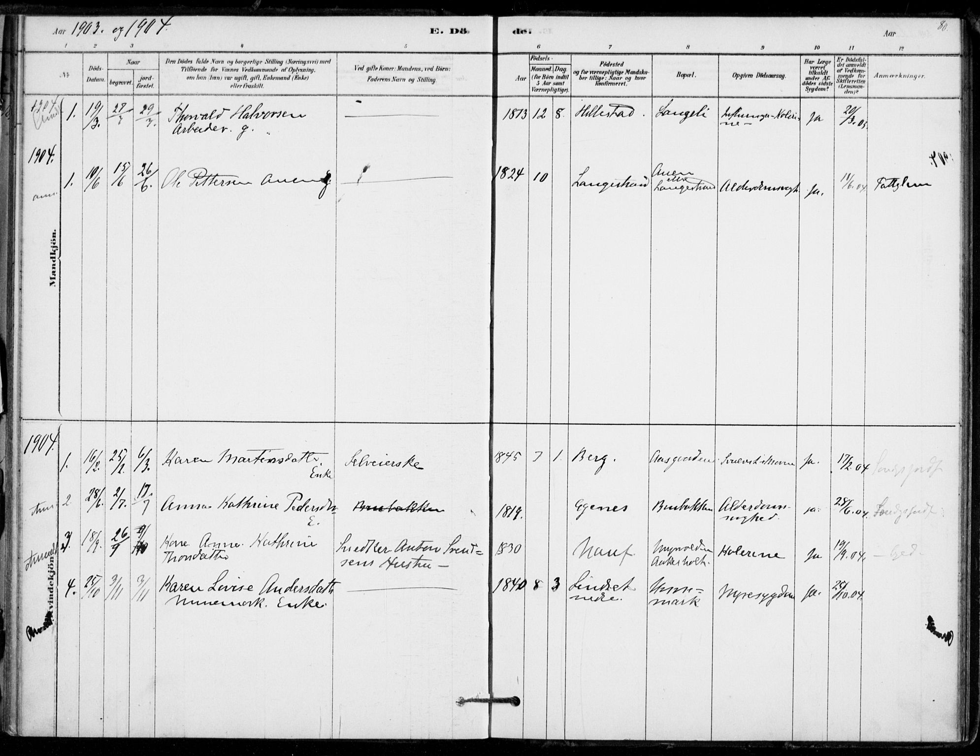 Hof kirkebøker, AV/SAKO-A-64/F/Fb/L0001: Parish register (official) no. II 1, 1878-1907, p. 80