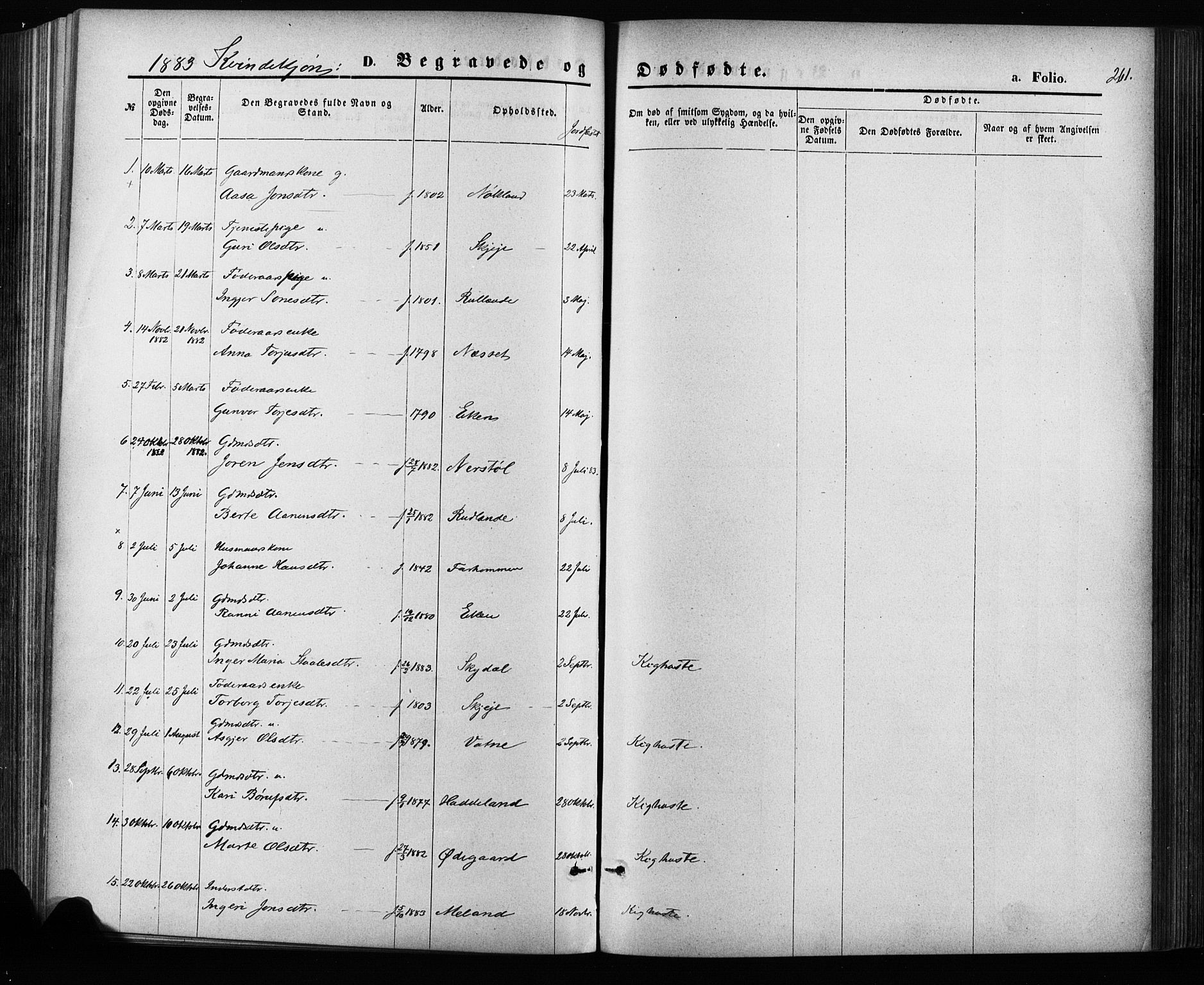 Hægebostad sokneprestkontor, AV/SAK-1111-0024/F/Fa/Fab/L0003: Parish register (official) no. A 3, 1872-1886, p. 261