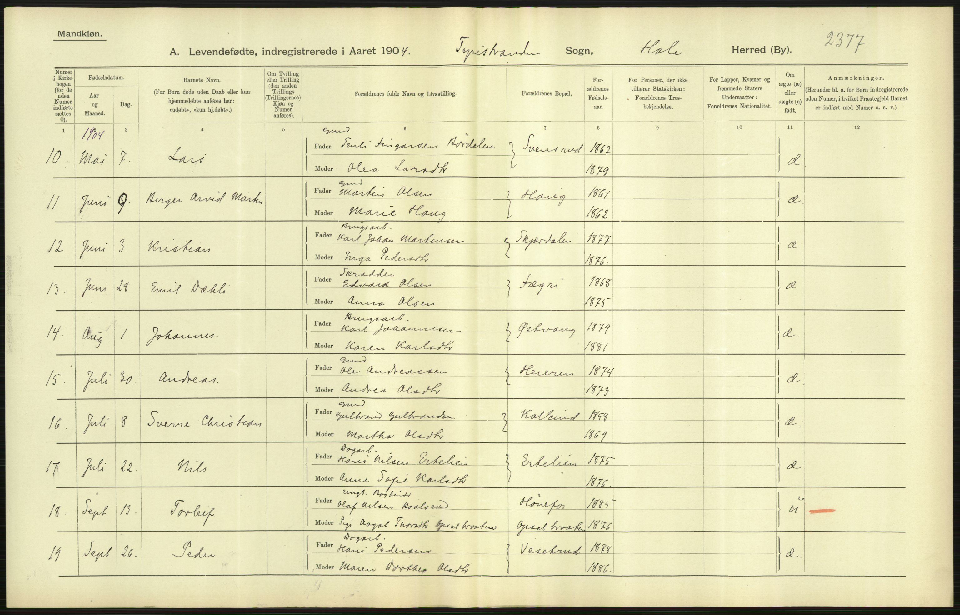 Statistisk sentralbyrå, Sosiodemografiske emner, Befolkning, AV/RA-S-2228/D/Df/Dfa/Dfab/L0007: Buskerud amt: Fødte, gifte, døde, 1904, p. 33