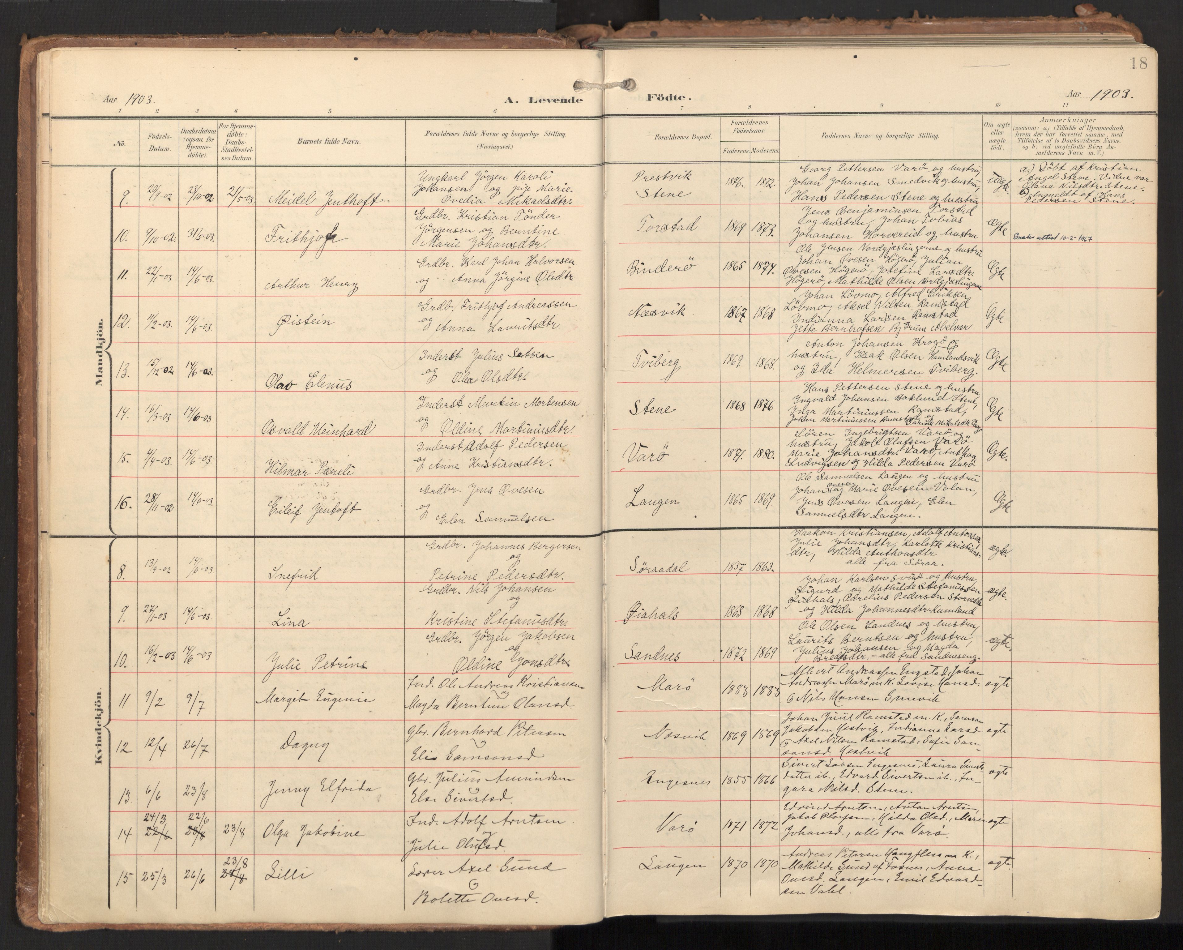 Ministerialprotokoller, klokkerbøker og fødselsregistre - Nord-Trøndelag, SAT/A-1458/784/L0677: Parish register (official) no. 784A12, 1900-1920, p. 18