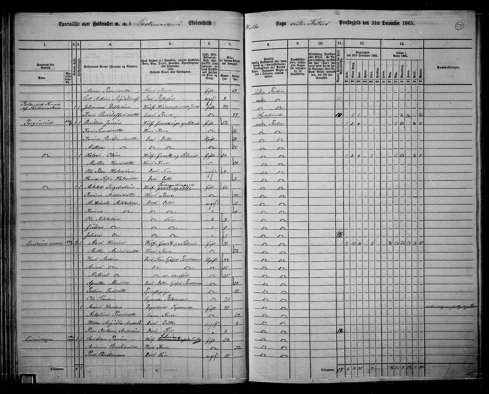 RA, 1865 census for Vestre Toten, 1865, p. 214