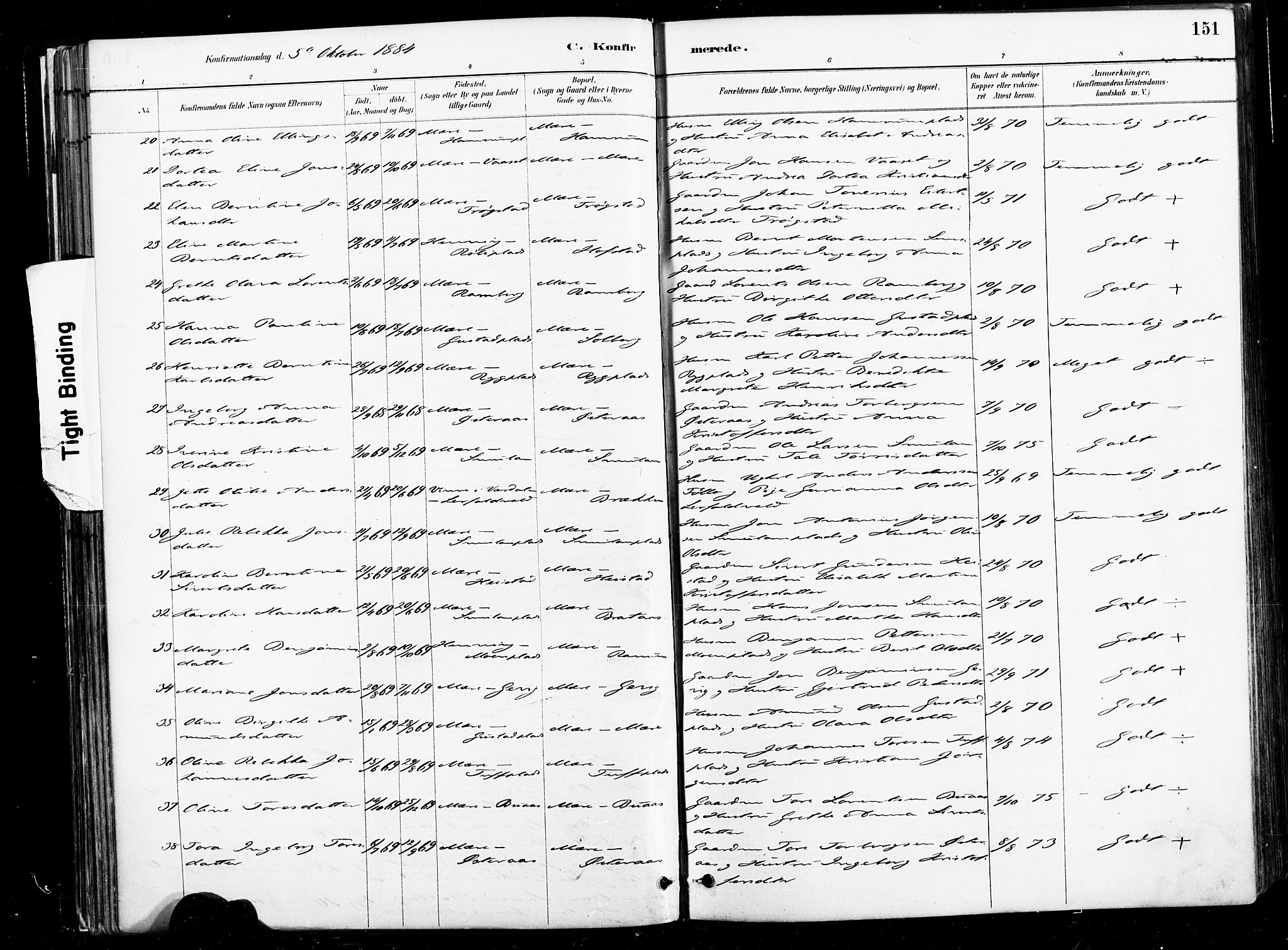 Ministerialprotokoller, klokkerbøker og fødselsregistre - Nord-Trøndelag, AV/SAT-A-1458/735/L0351: Parish register (official) no. 735A10, 1884-1908, p. 151