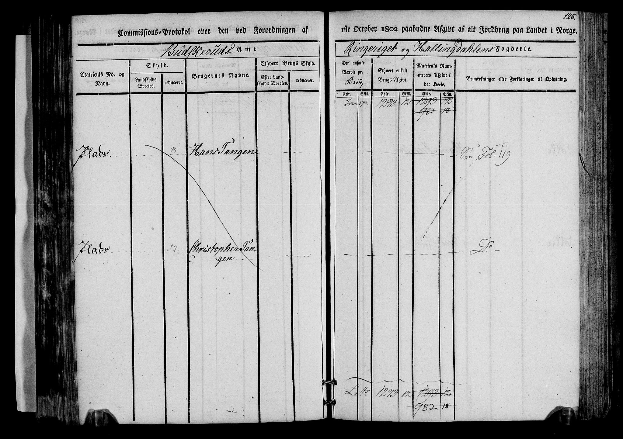 Rentekammeret inntil 1814, Realistisk ordnet avdeling, AV/RA-EA-4070/N/Ne/Nea/L0045: Ringerike og Hallingdal fogderi. Kommisjonsprotokoll for Norderhov prestegjeld, 1803, p. 128