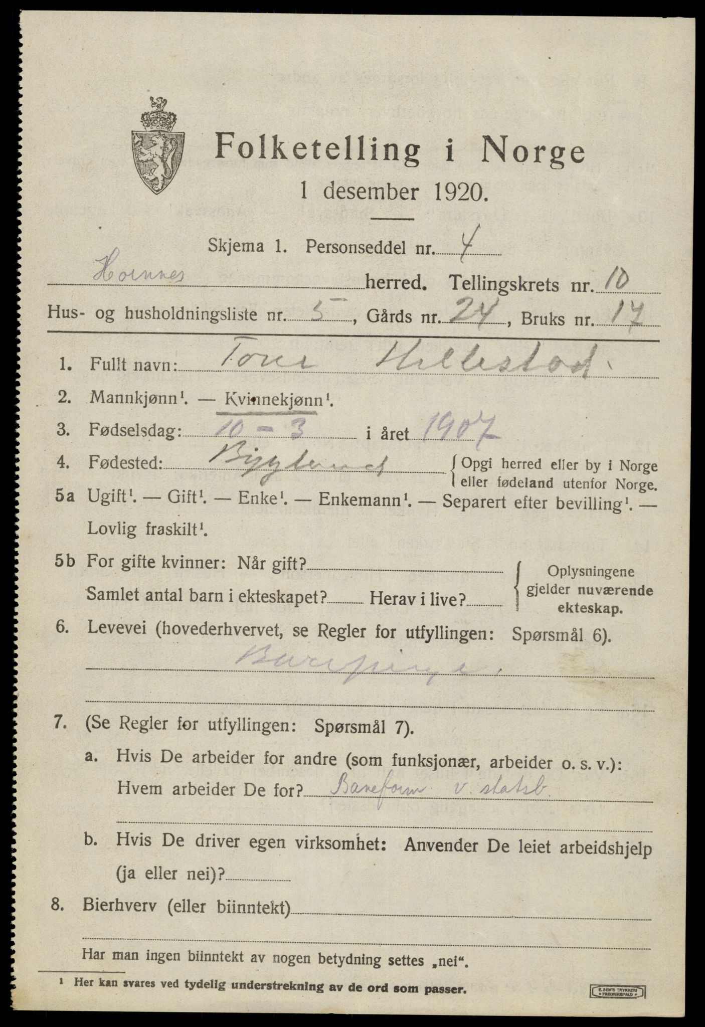 SAK, 1920 census for Hornnes, 1920, p. 2547