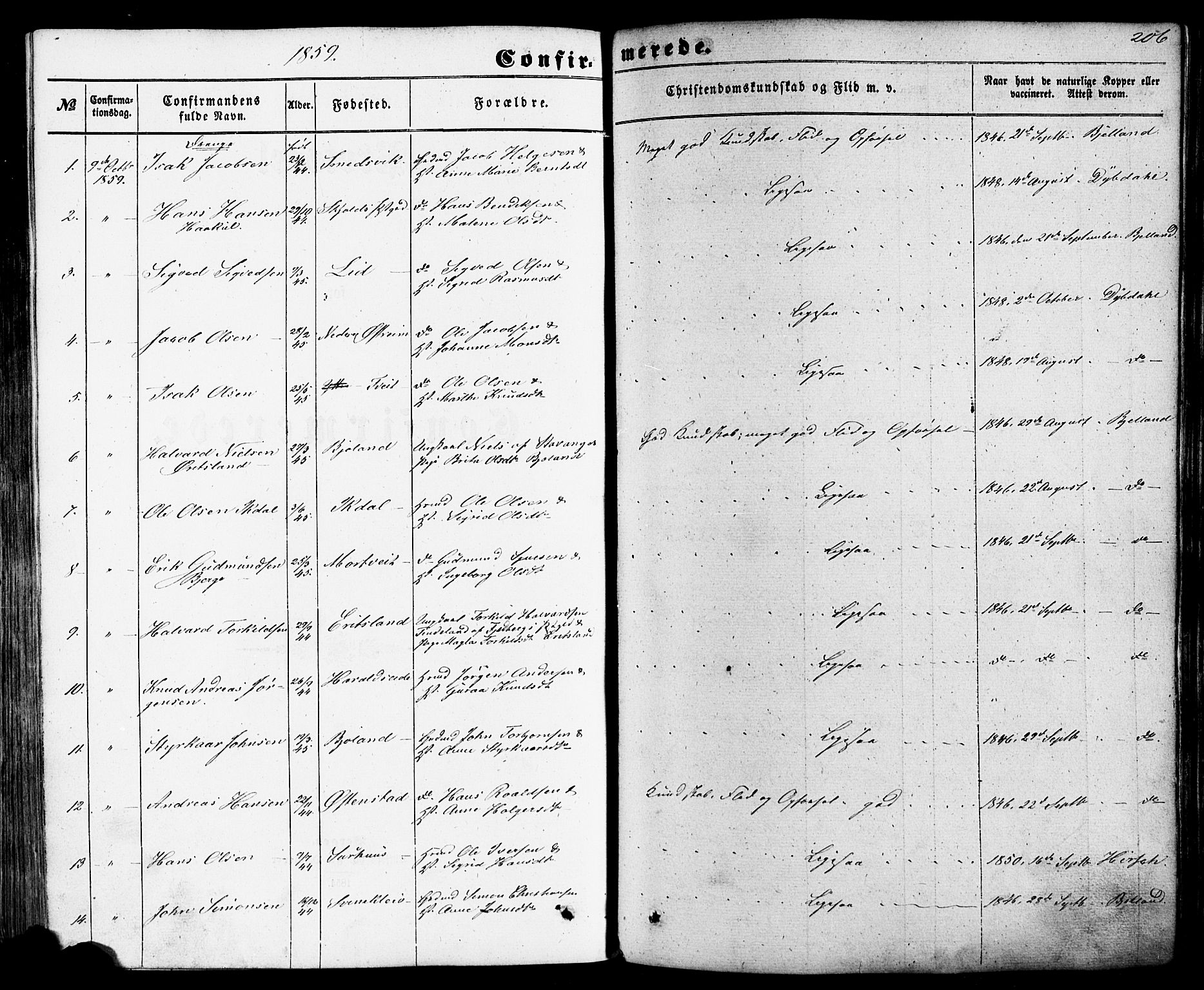 Skjold sokneprestkontor, SAST/A-101847/H/Ha/Haa/L0008: Parish register (official) no. A 8, 1856-1882, p. 206