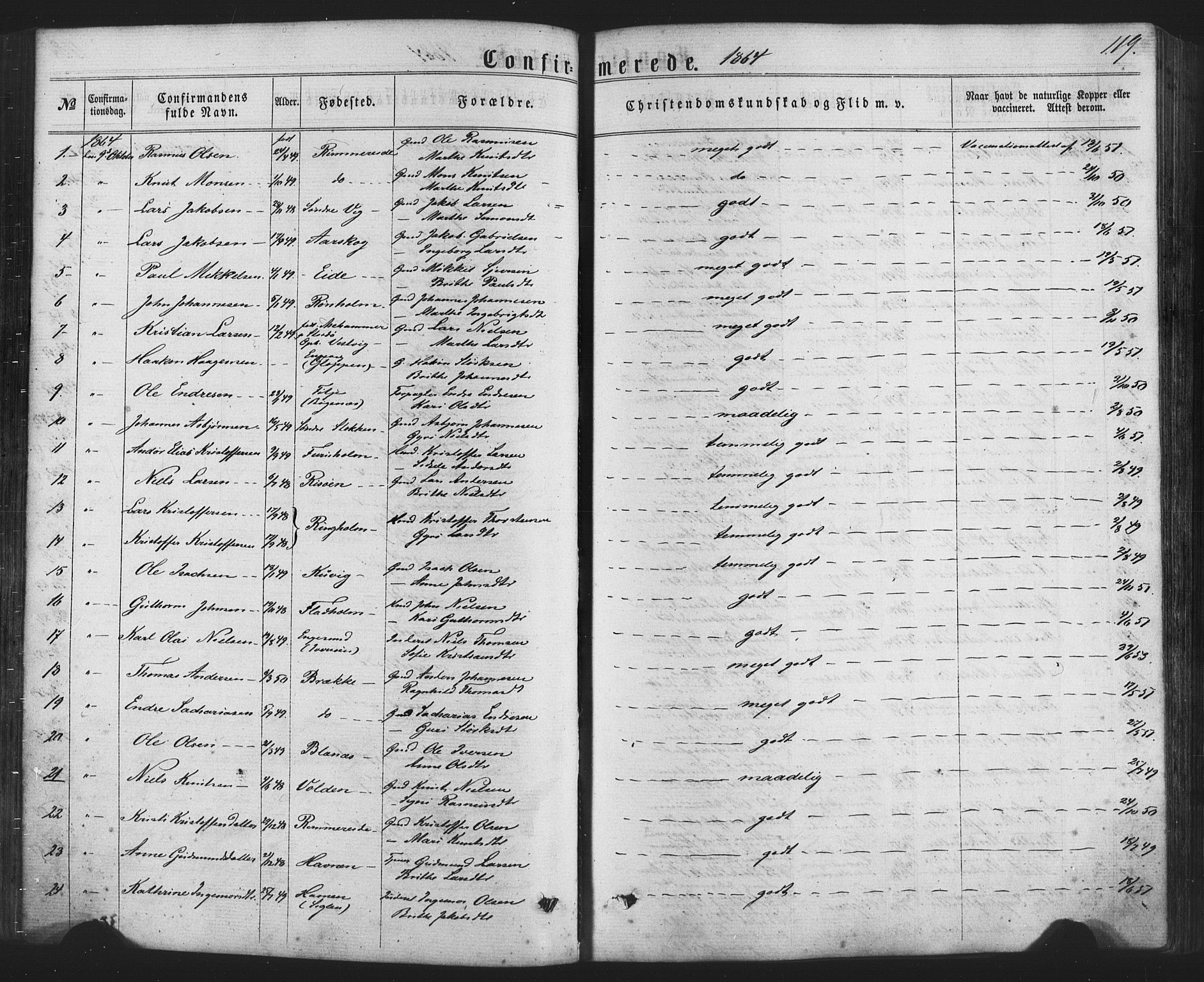 Fitjar sokneprestembete, SAB/A-99926: Parish register (official) no. A 1, 1862-1881, p. 119