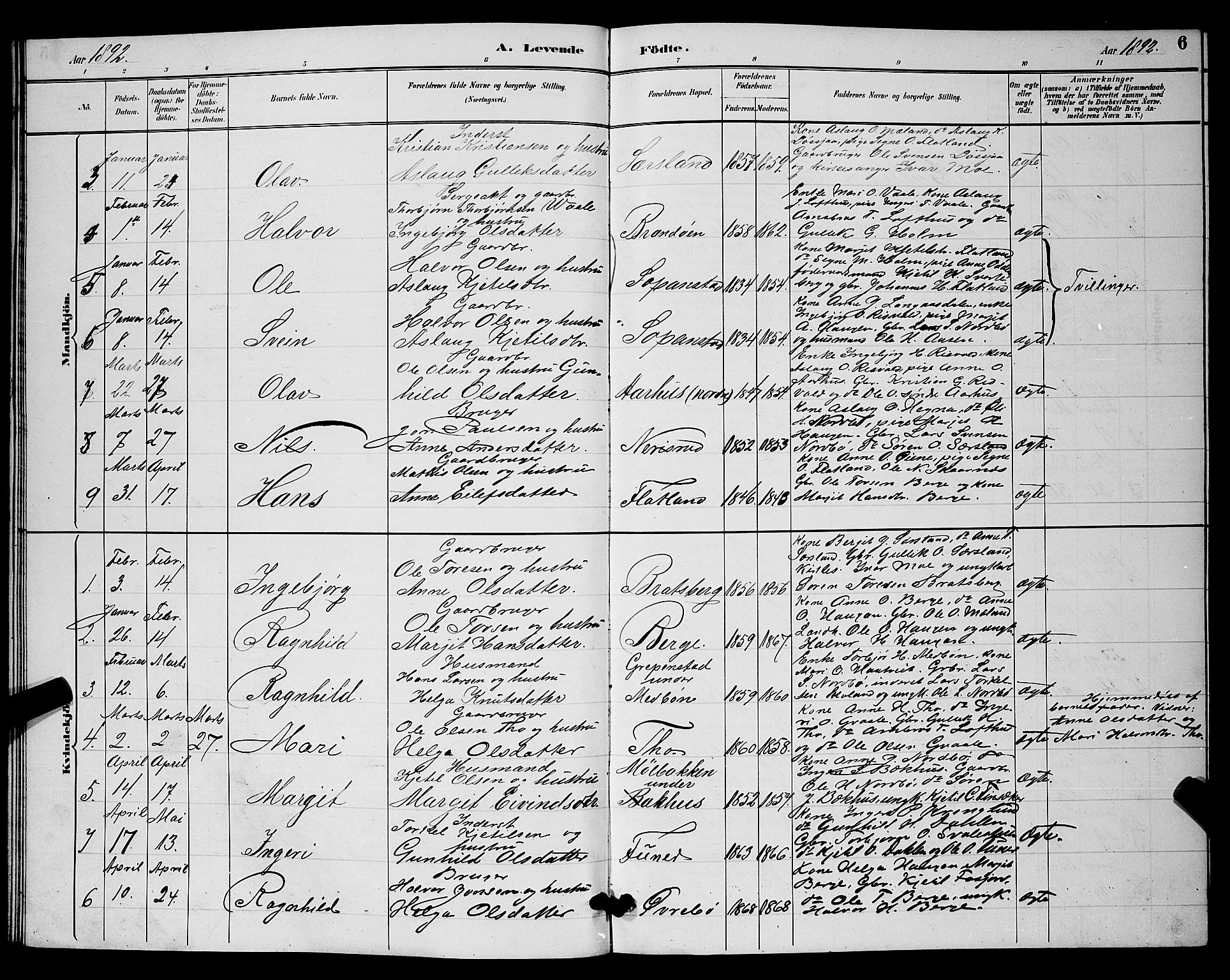 Hjartdal kirkebøker, SAKO/A-270/G/Ga/L0003: Parish register (copy) no. I 3, 1889-1896, p. 6