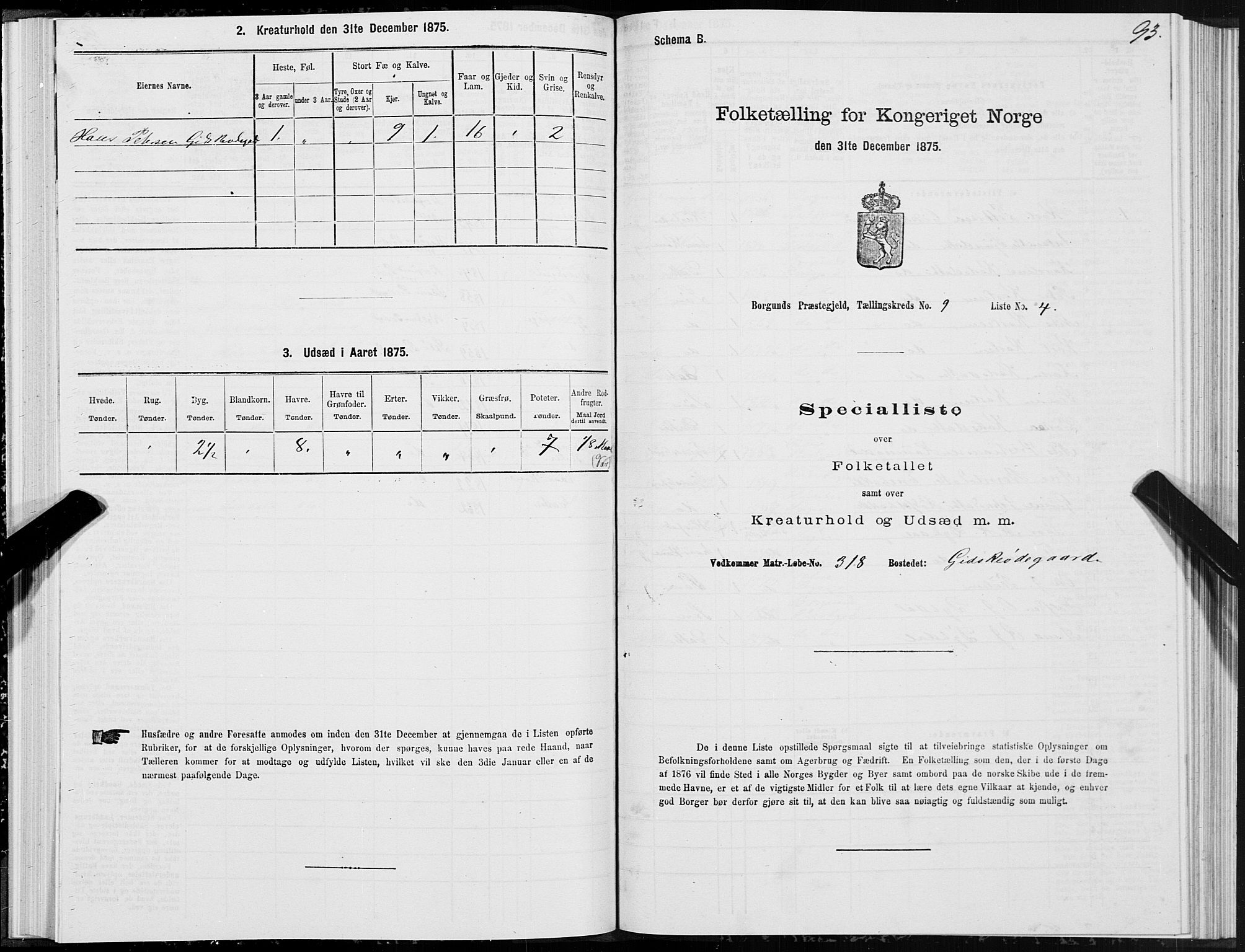 SAT, 1875 census for 1531P Borgund, 1875, p. 5093