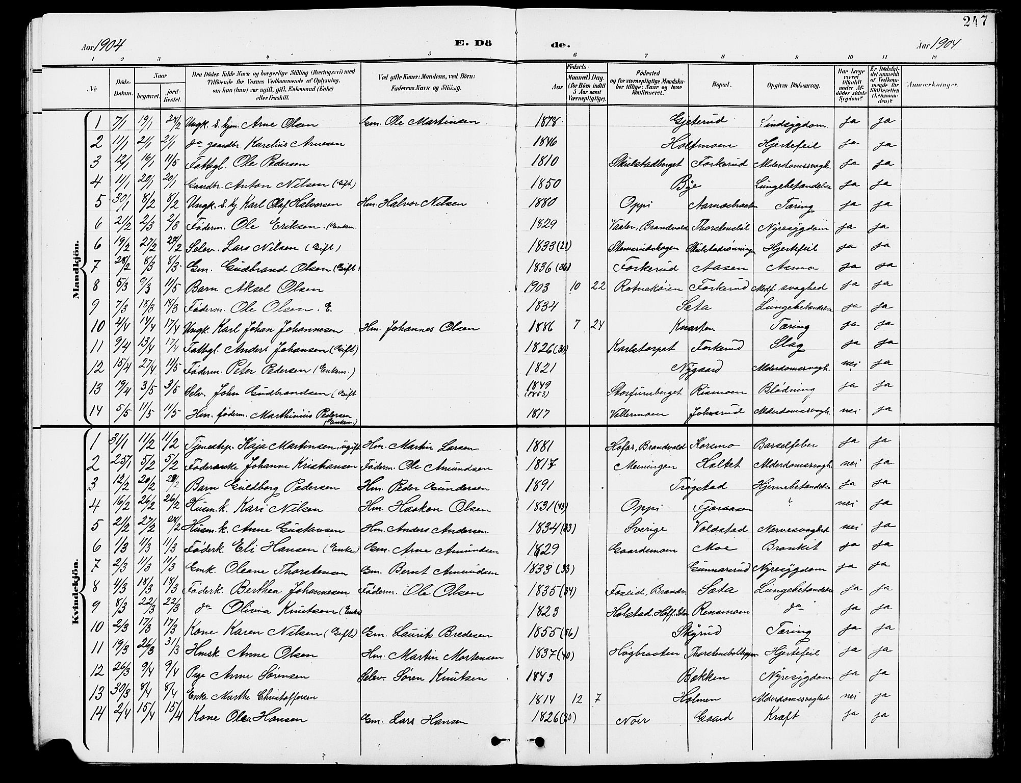 Grue prestekontor, SAH/PREST-036/H/Ha/Hab/L0005: Parish register (copy) no. 5, 1900-1909, p. 247