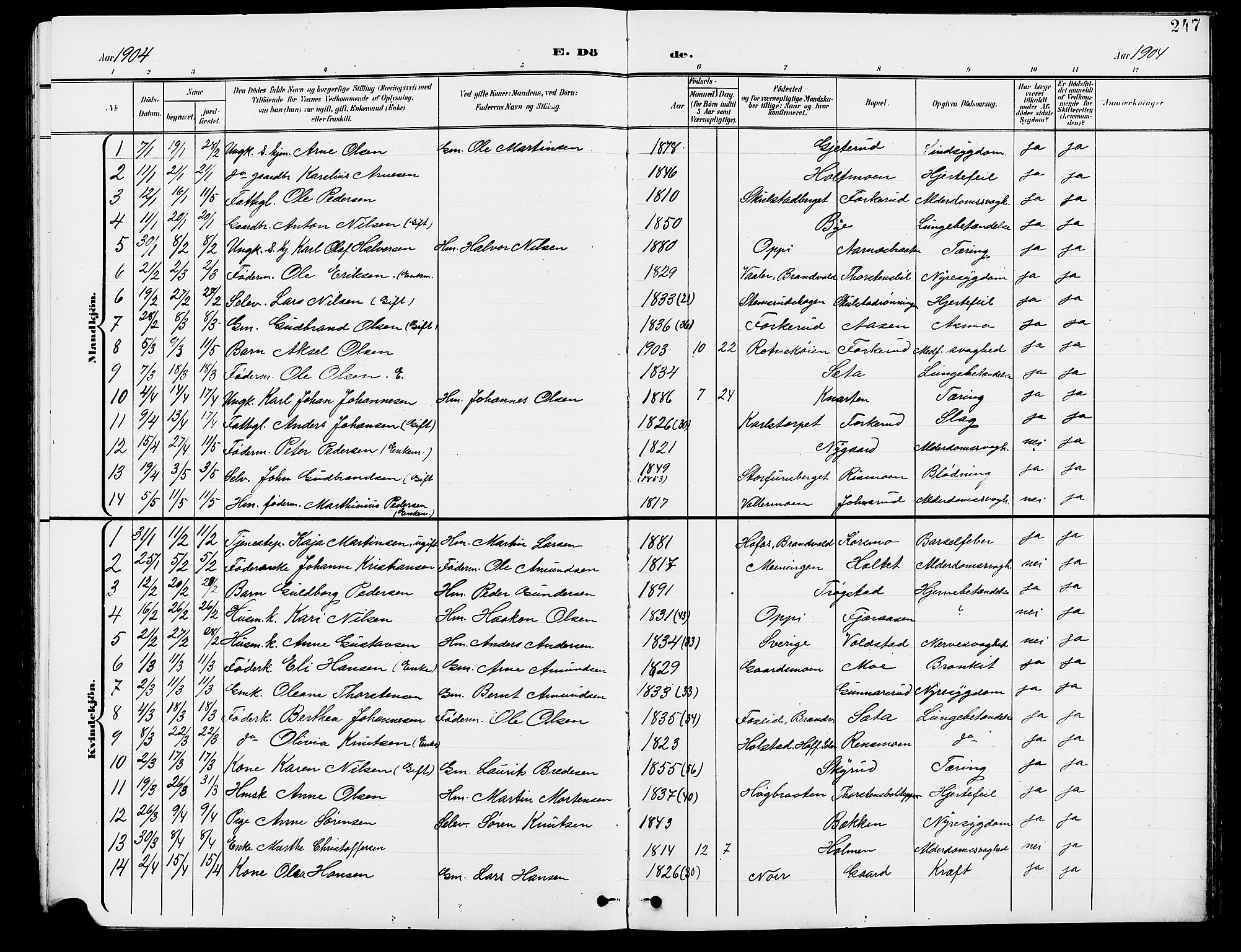 Grue prestekontor, AV/SAH-PREST-036/H/Ha/Hab/L0005: Parish register (copy) no. 5, 1900-1909, p. 247