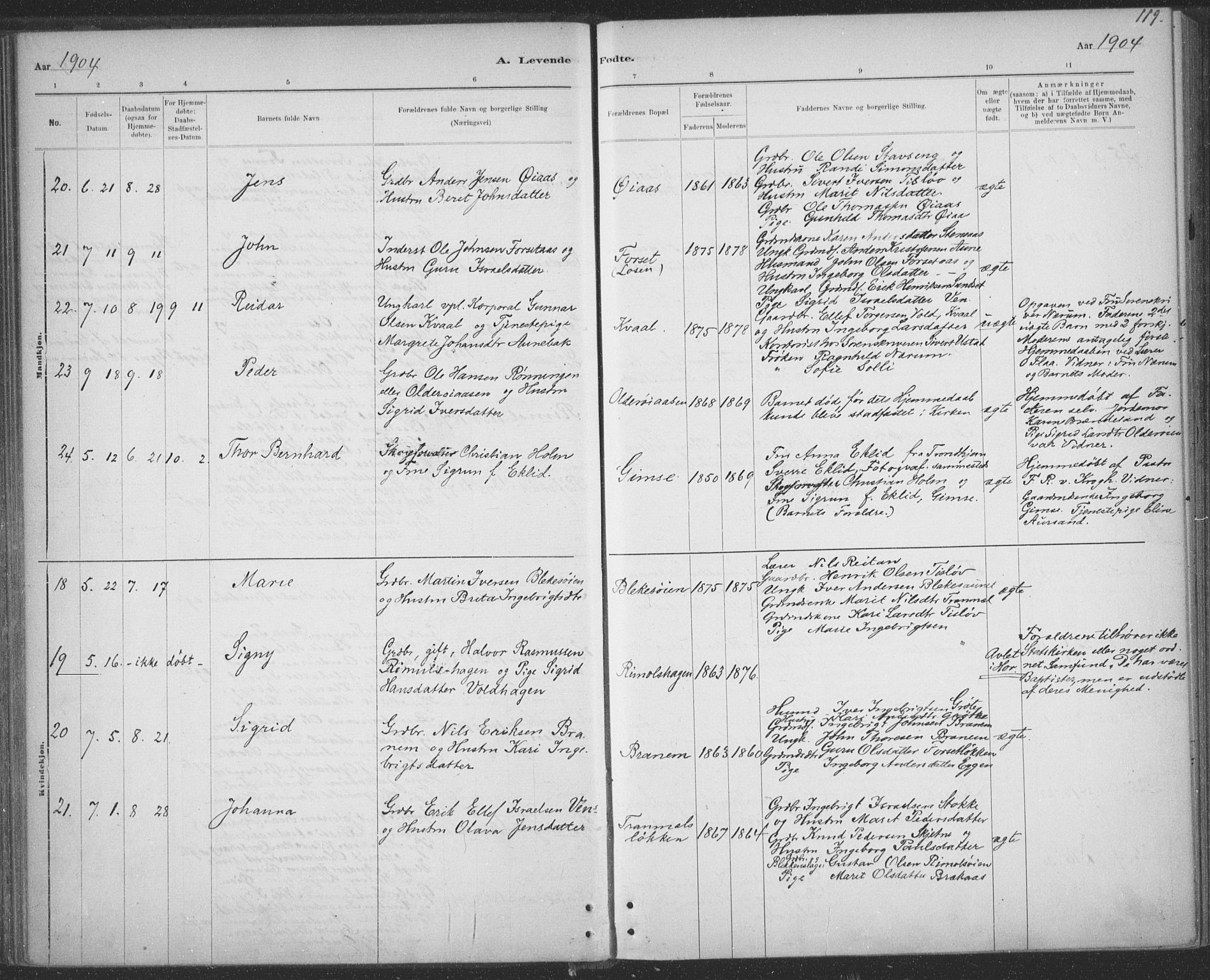 Ministerialprotokoller, klokkerbøker og fødselsregistre - Sør-Trøndelag, SAT/A-1456/691/L1085: Parish register (official) no. 691A17, 1887-1908, p. 119