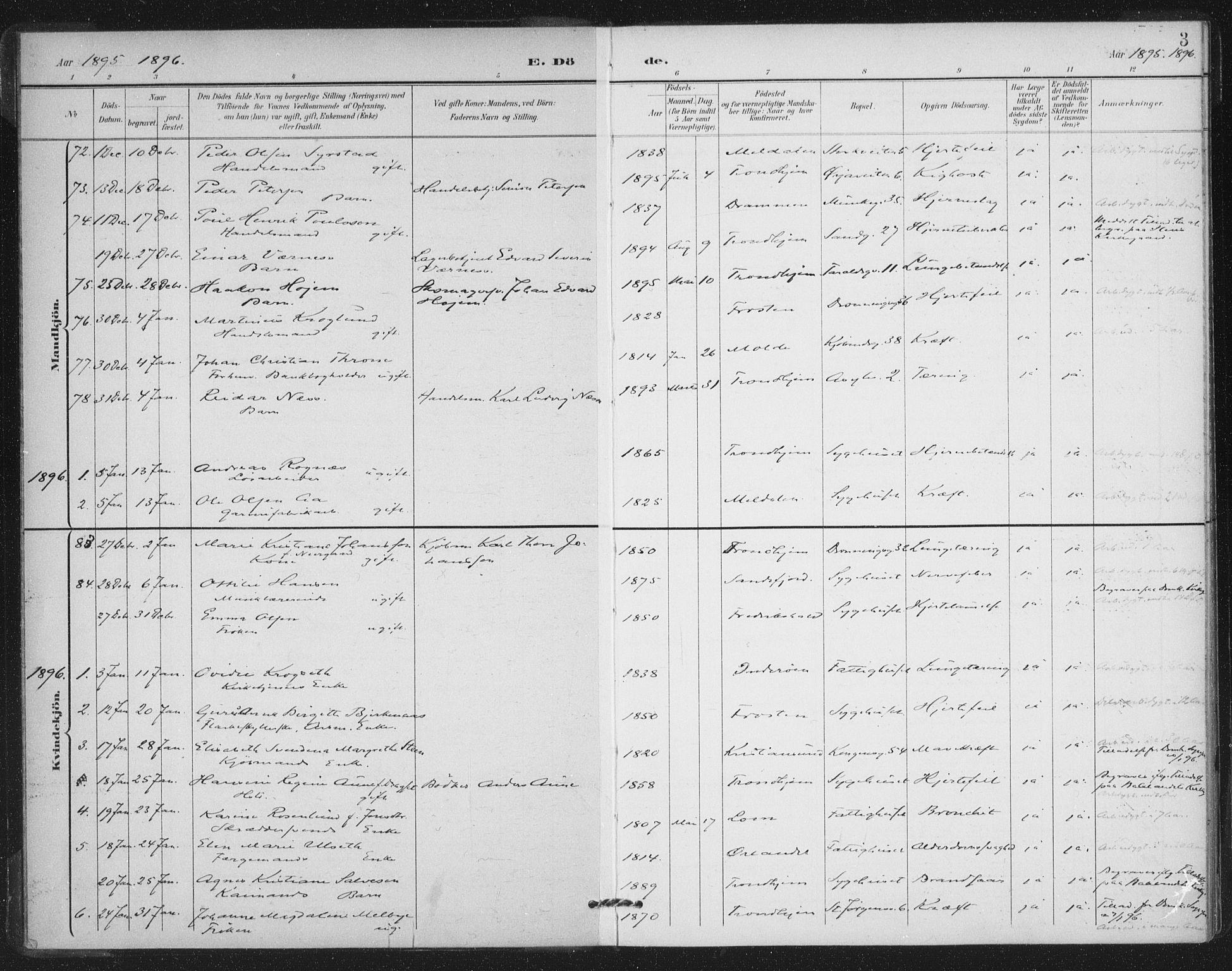 Ministerialprotokoller, klokkerbøker og fødselsregistre - Sør-Trøndelag, AV/SAT-A-1456/602/L0123: Parish register (official) no. 602A21, 1895-1910, p. 3