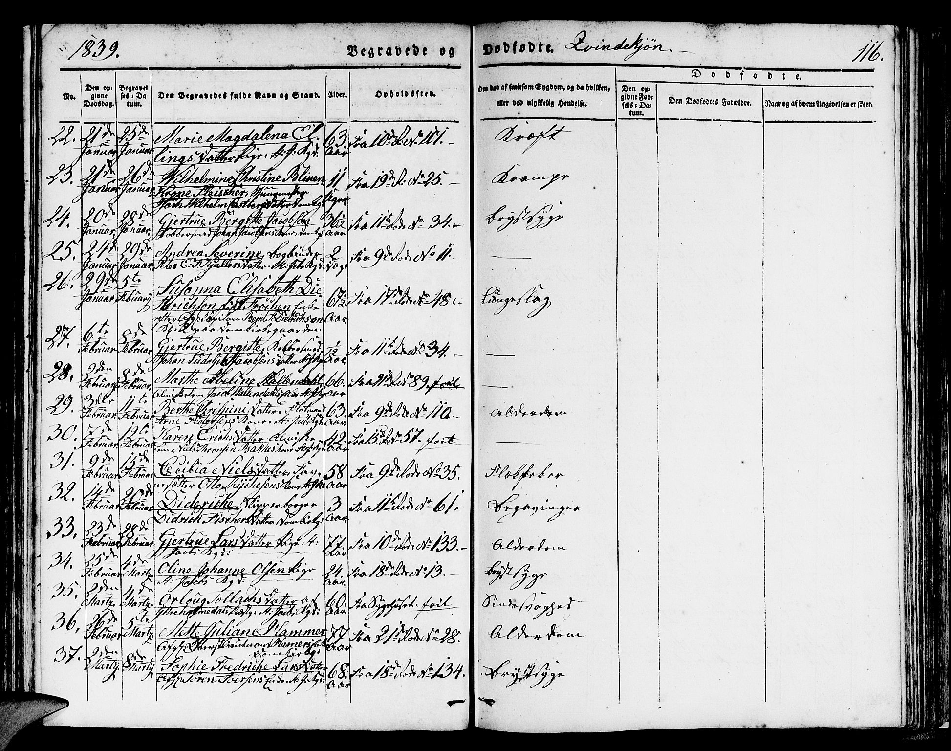 Domkirken sokneprestembete, SAB/A-74801/H/Hab/L0037: Parish register (copy) no. E 1, 1836-1848, p. 116
