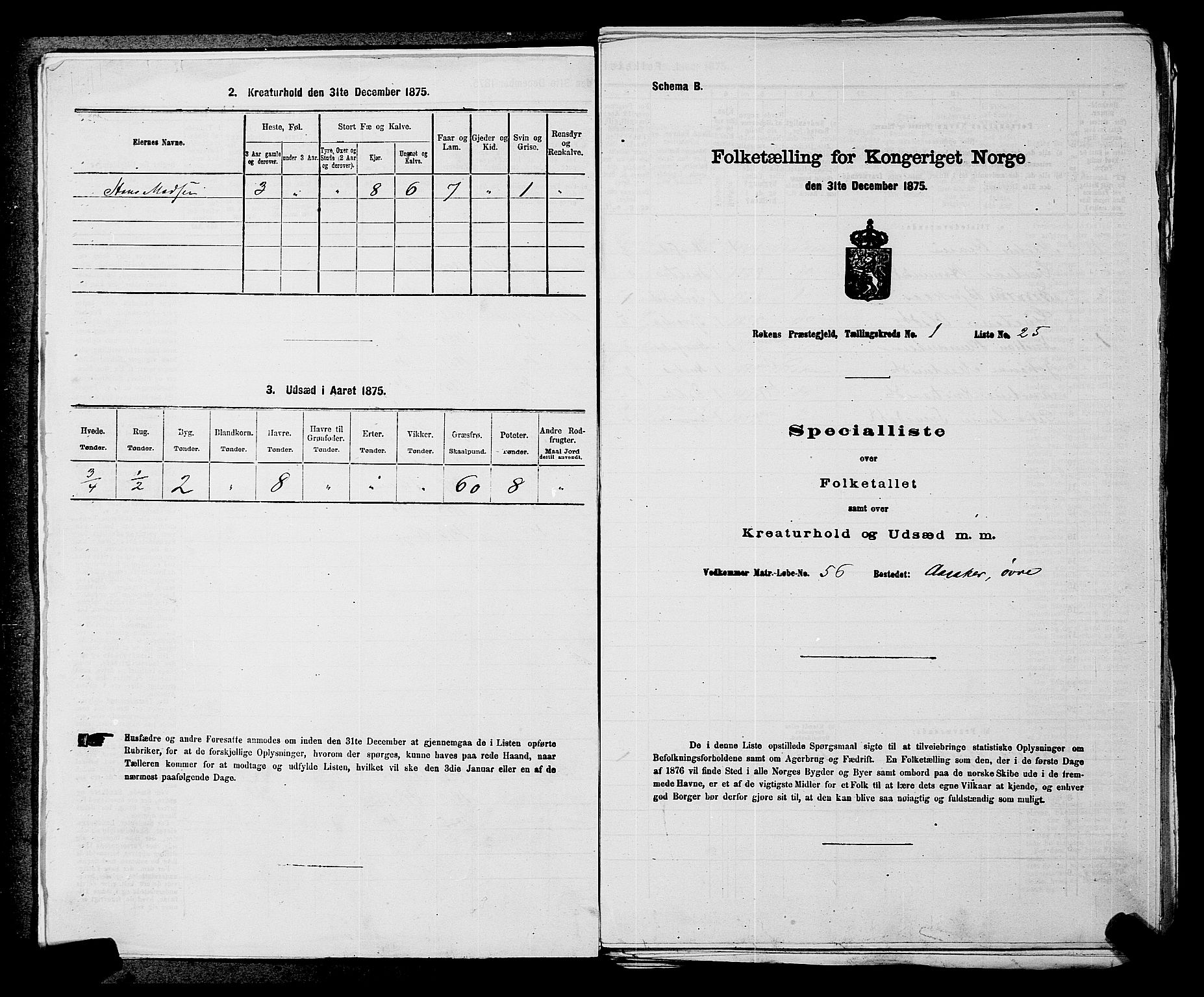 SAKO, 1875 census for 0627P Røyken, 1875, p. 55