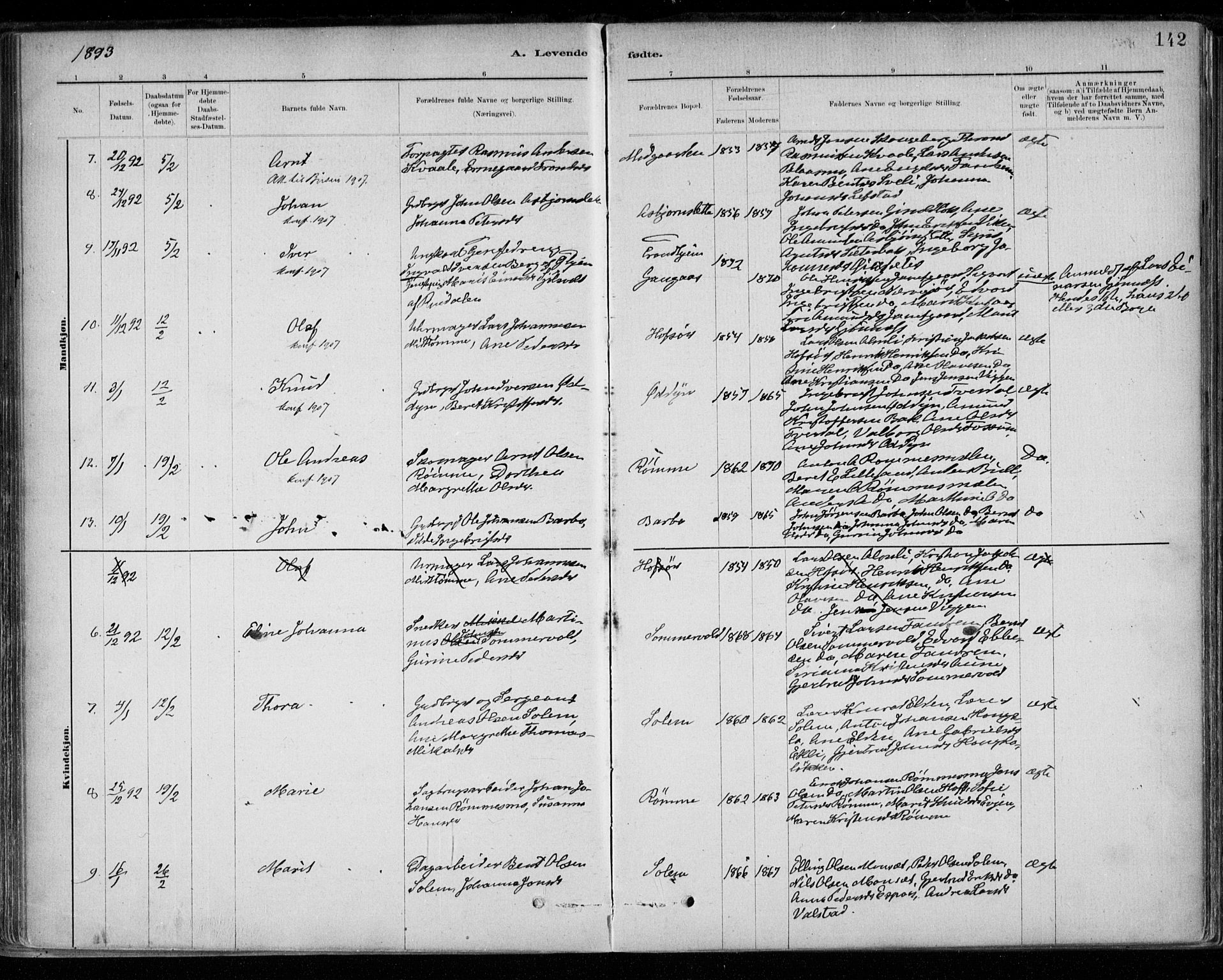 Ministerialprotokoller, klokkerbøker og fødselsregistre - Sør-Trøndelag, SAT/A-1456/668/L0809: Parish register (official) no. 668A09, 1881-1895, p. 142